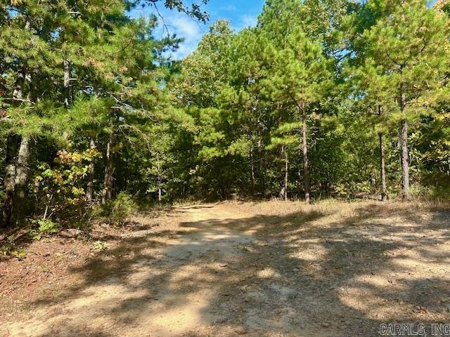825  Piney  Shirley, AR