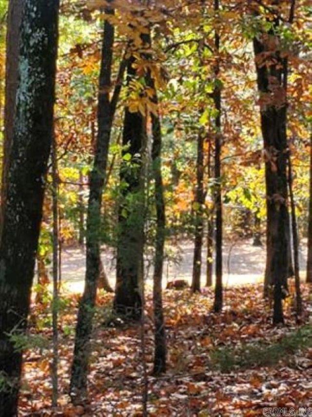  E Blue Ridge Ter.  Fairfield Bay, AR