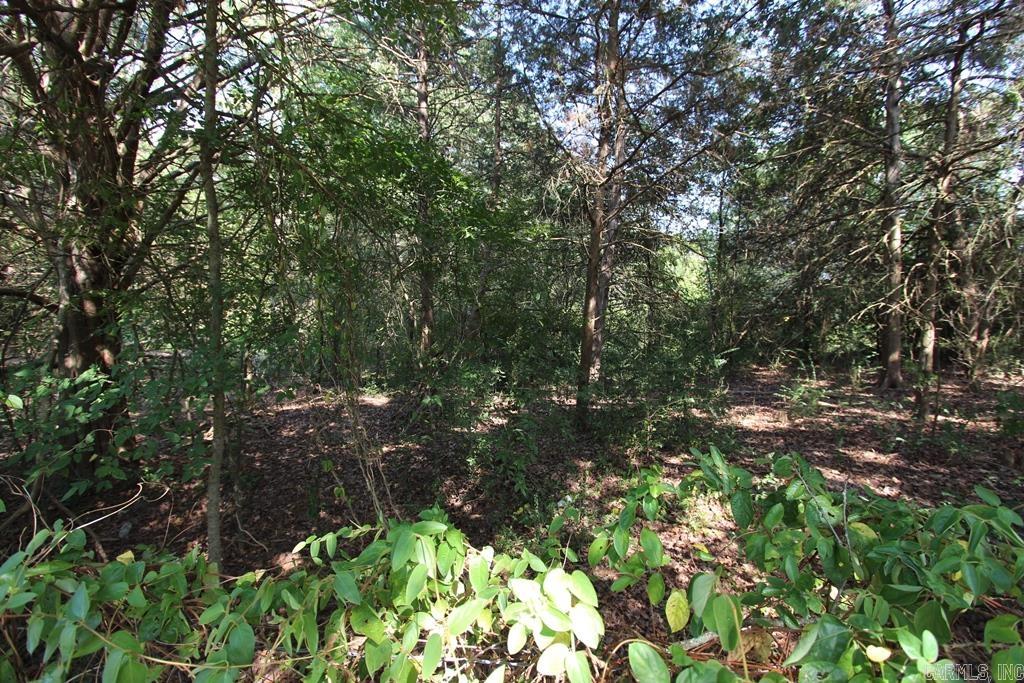 10  Fox Hill  Greenbrier, AR