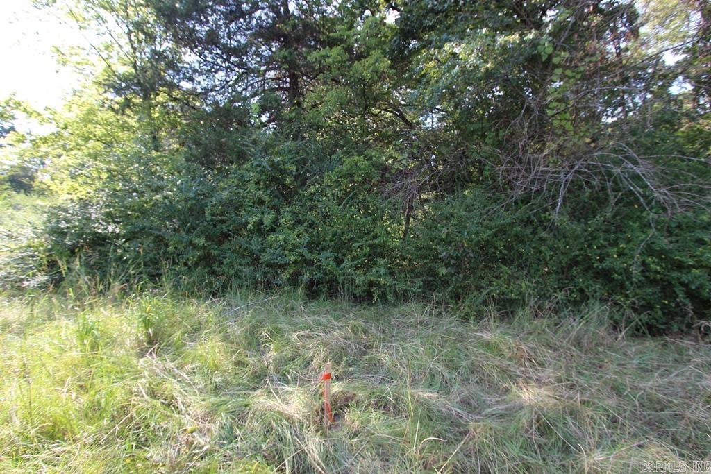10  Fox Hill  Greenbrier, AR