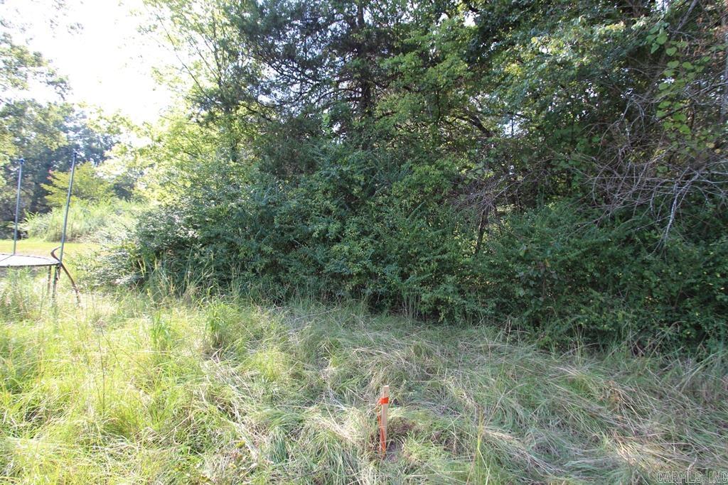 10  Fox Hill  Greenbrier, AR