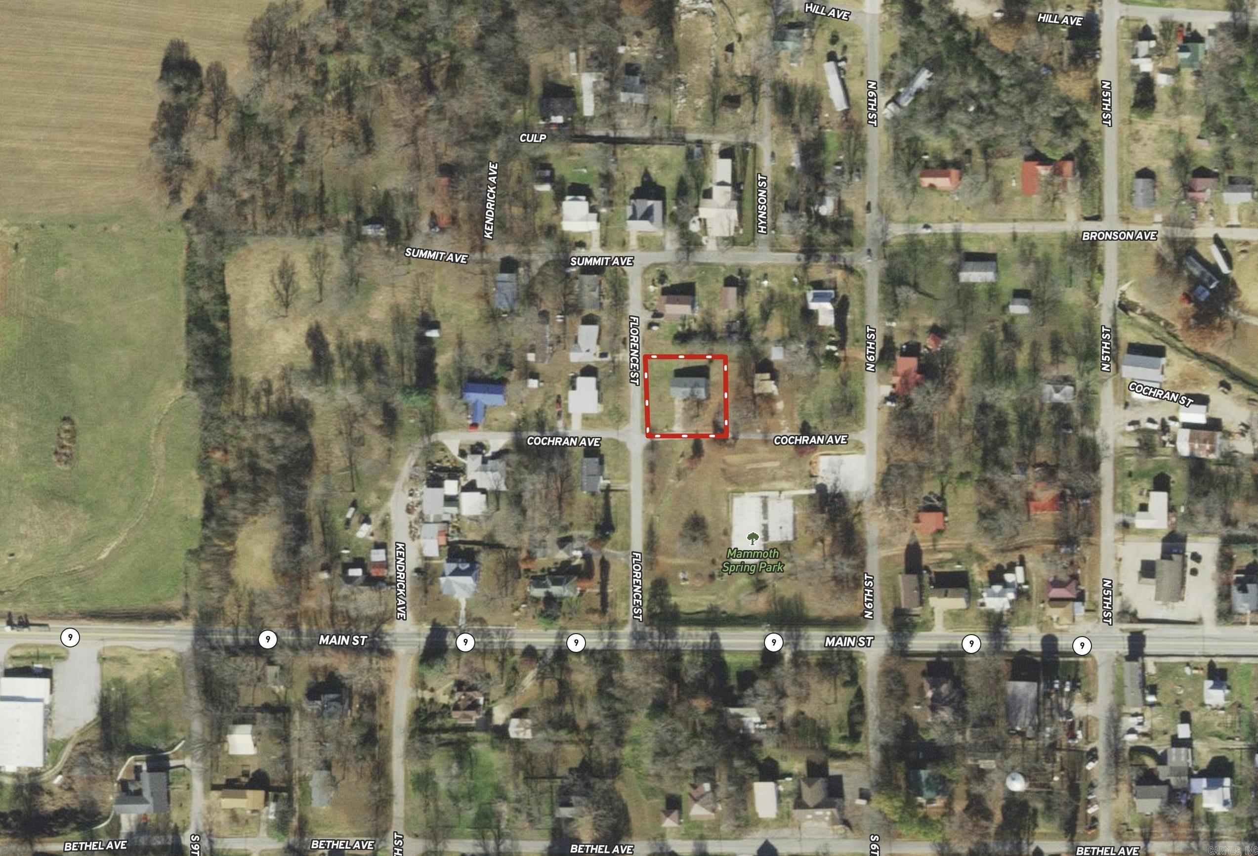 665  Cochran Avenue  Mammoth Spring, AR