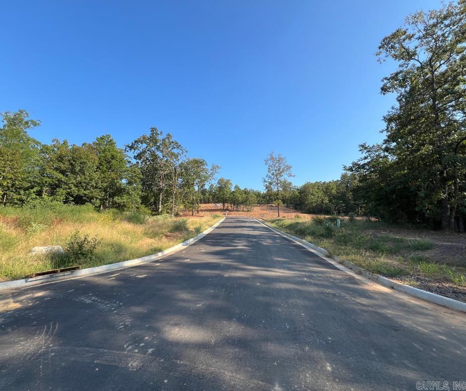 16114  Vesuvius  Maumelle, AR