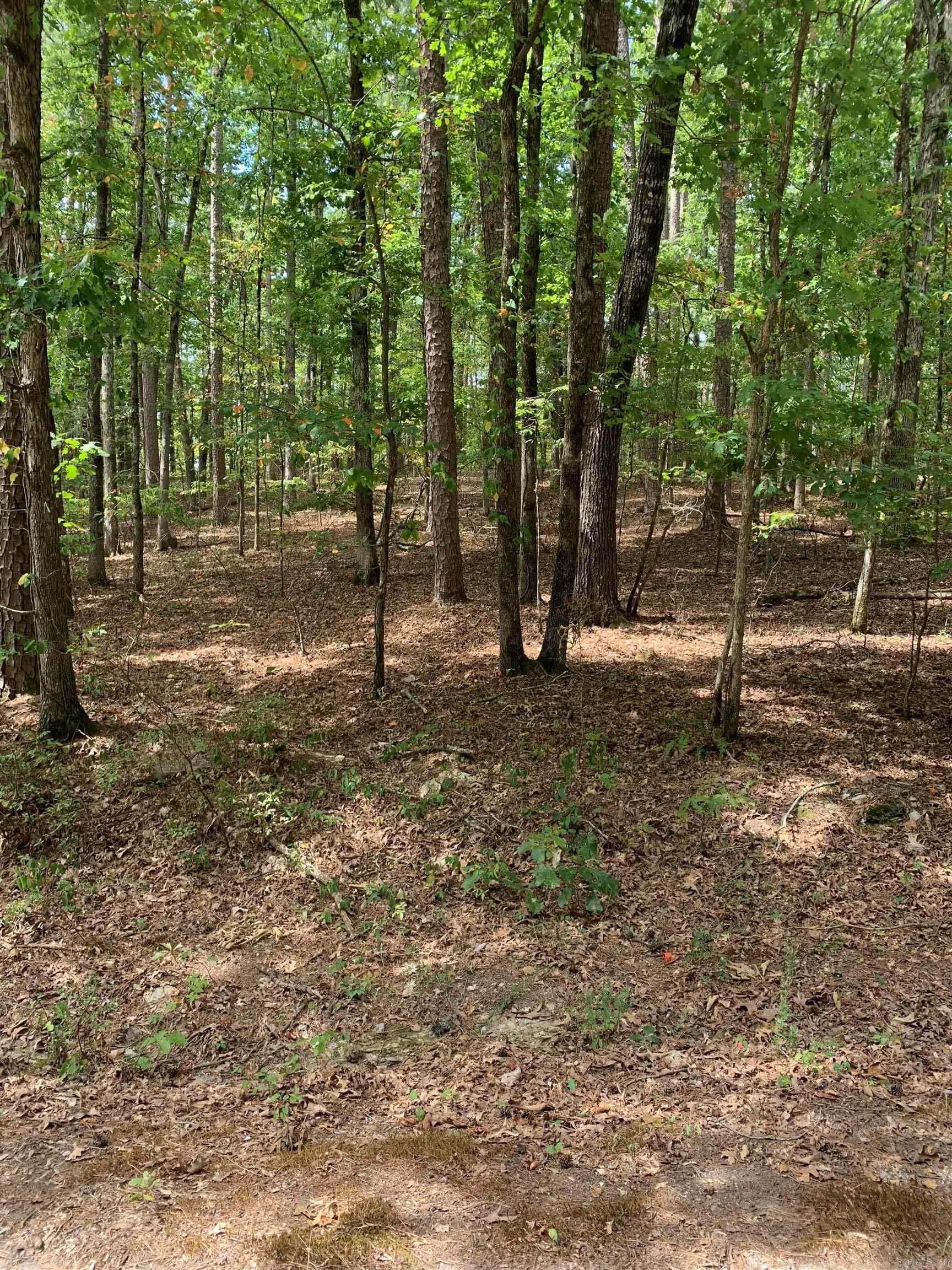 5  Lazo  Hot Springs Village, AR