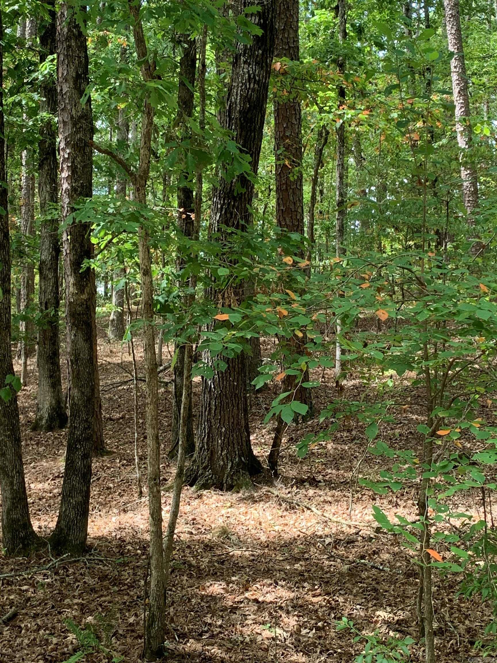 5  Lazo  Hot Springs Village, AR