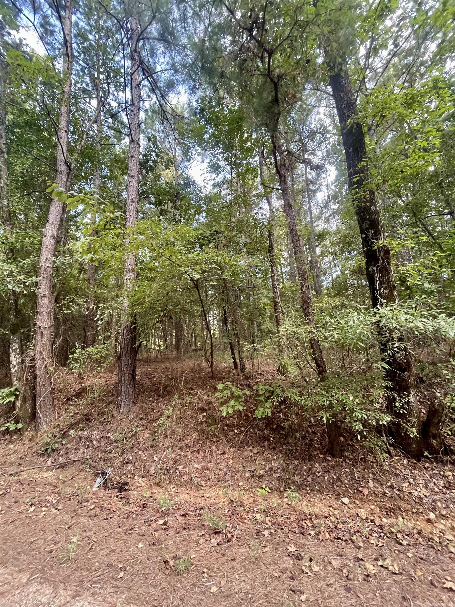 TBD  Miller County 32  Doddridge, AR
