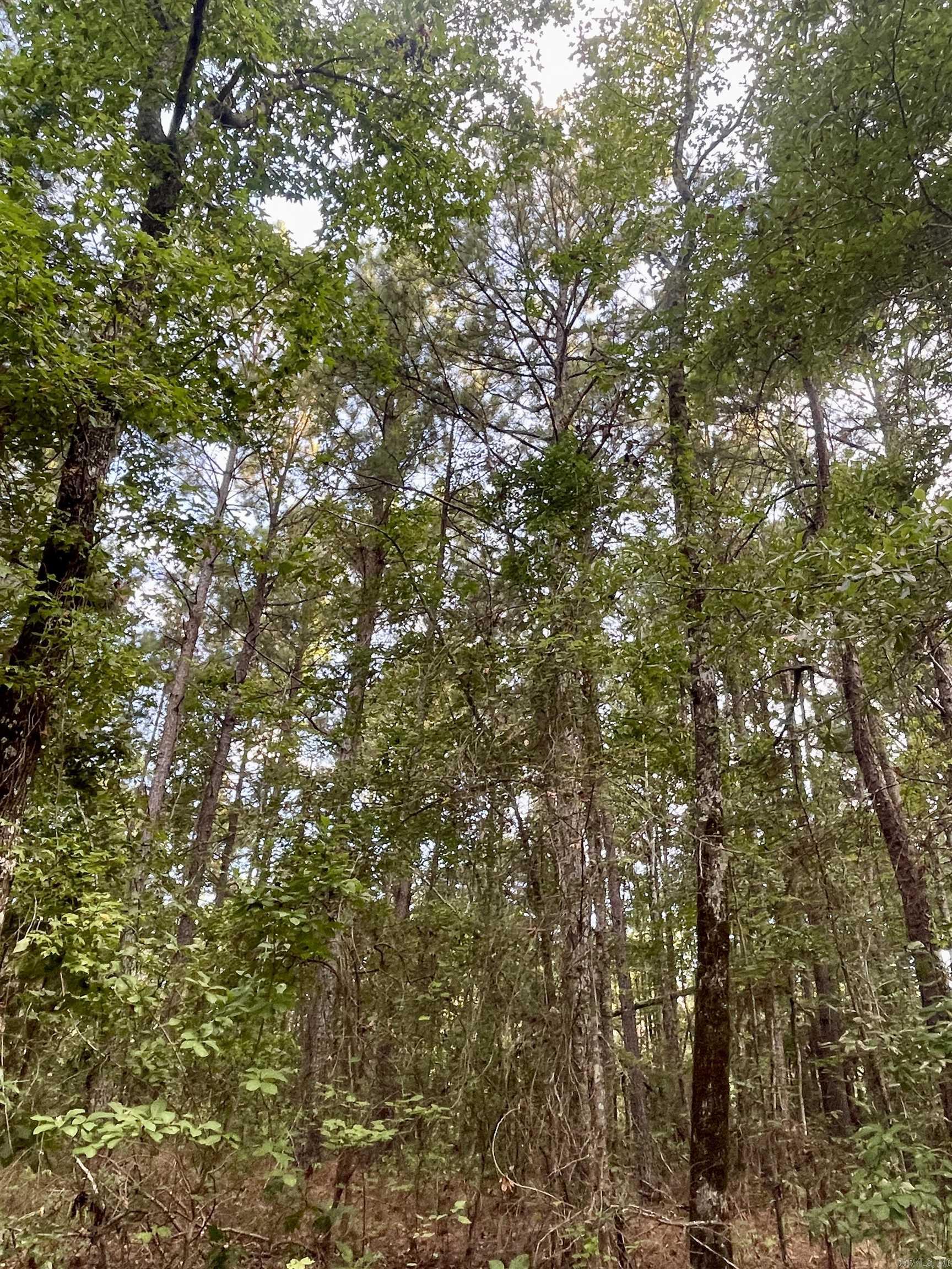 TBD  Miller County 32  Doddridge, AR