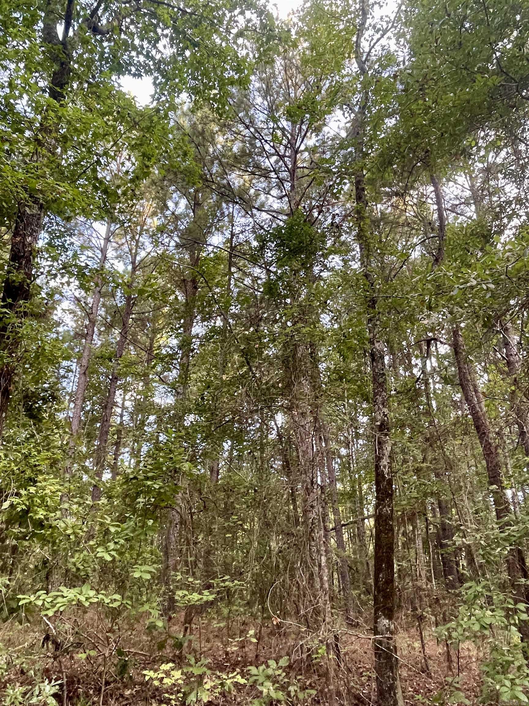 TBD  Miller County 32  Doddridge, AR