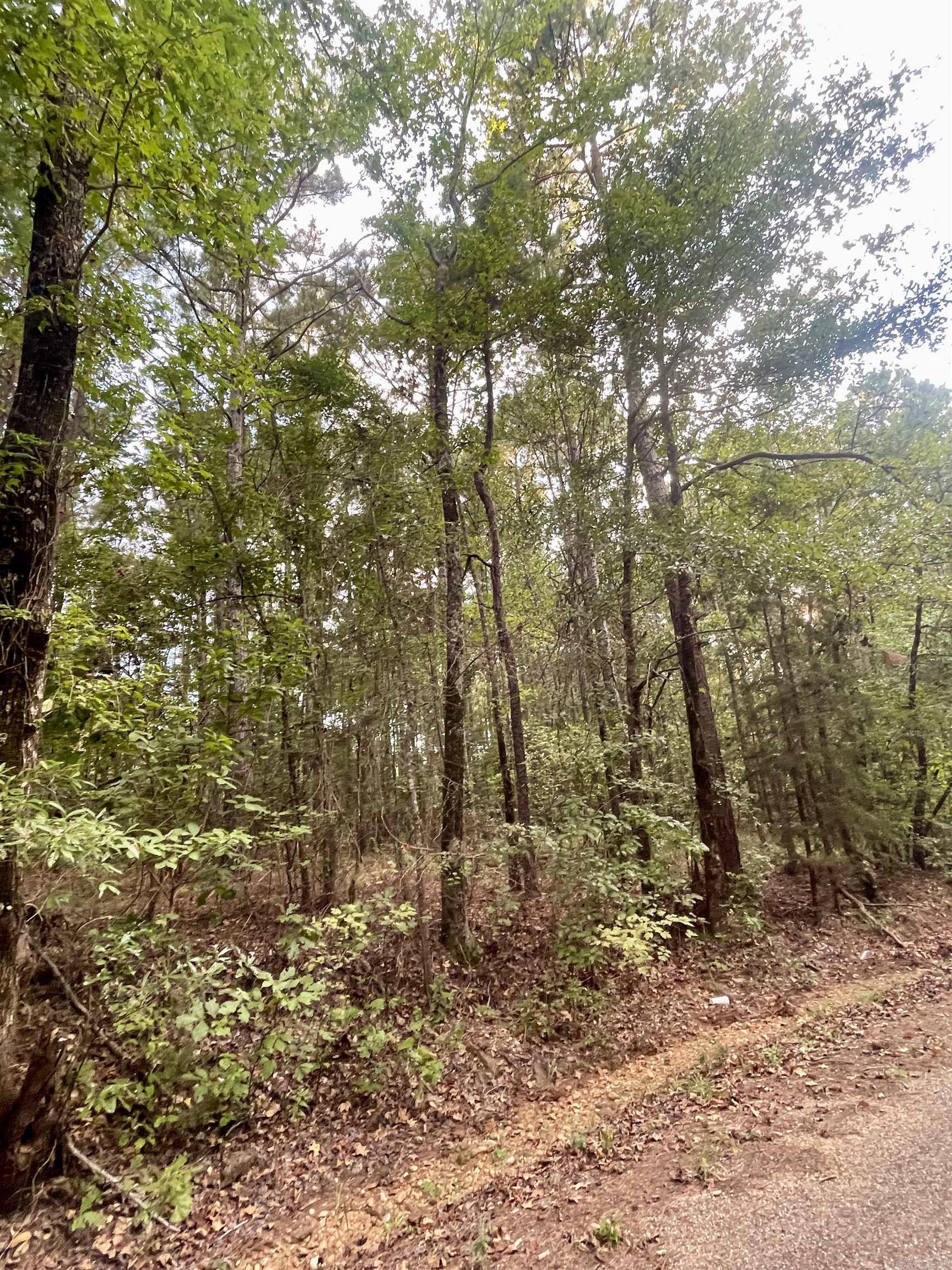 TBD  Miller County 32  Doddridge, AR