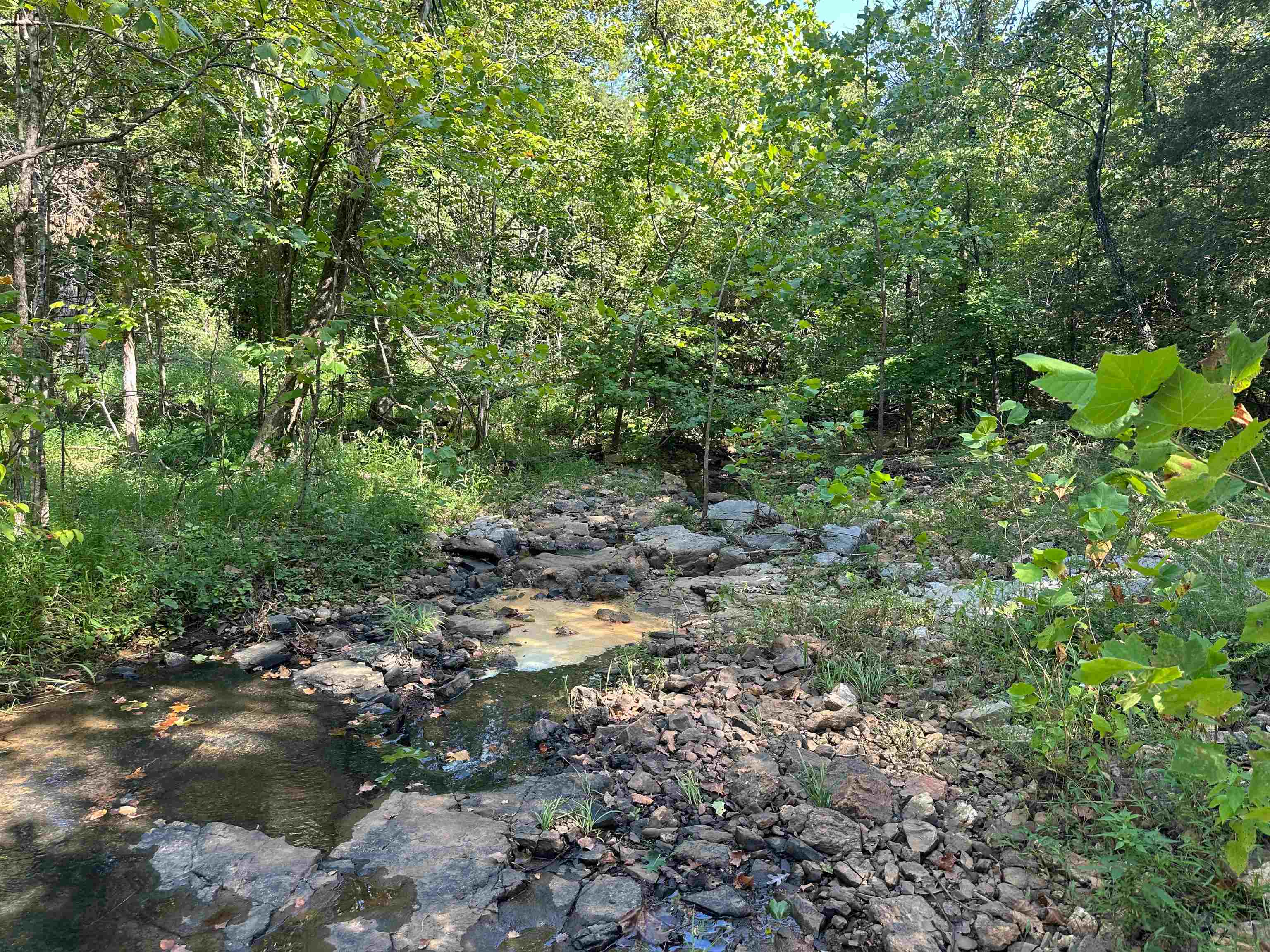 000  63  Hardy, AR