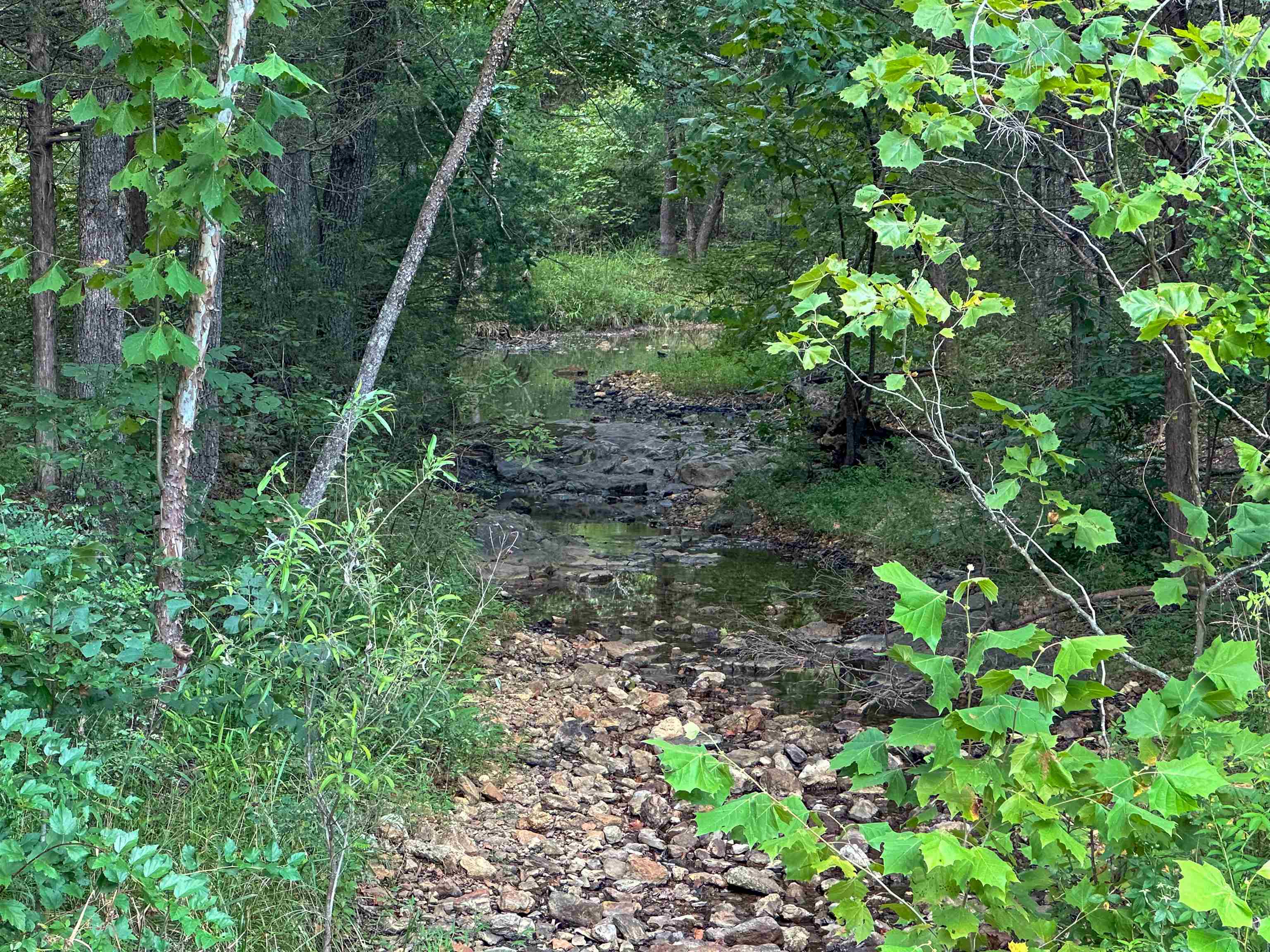 000  63  Hardy, AR
