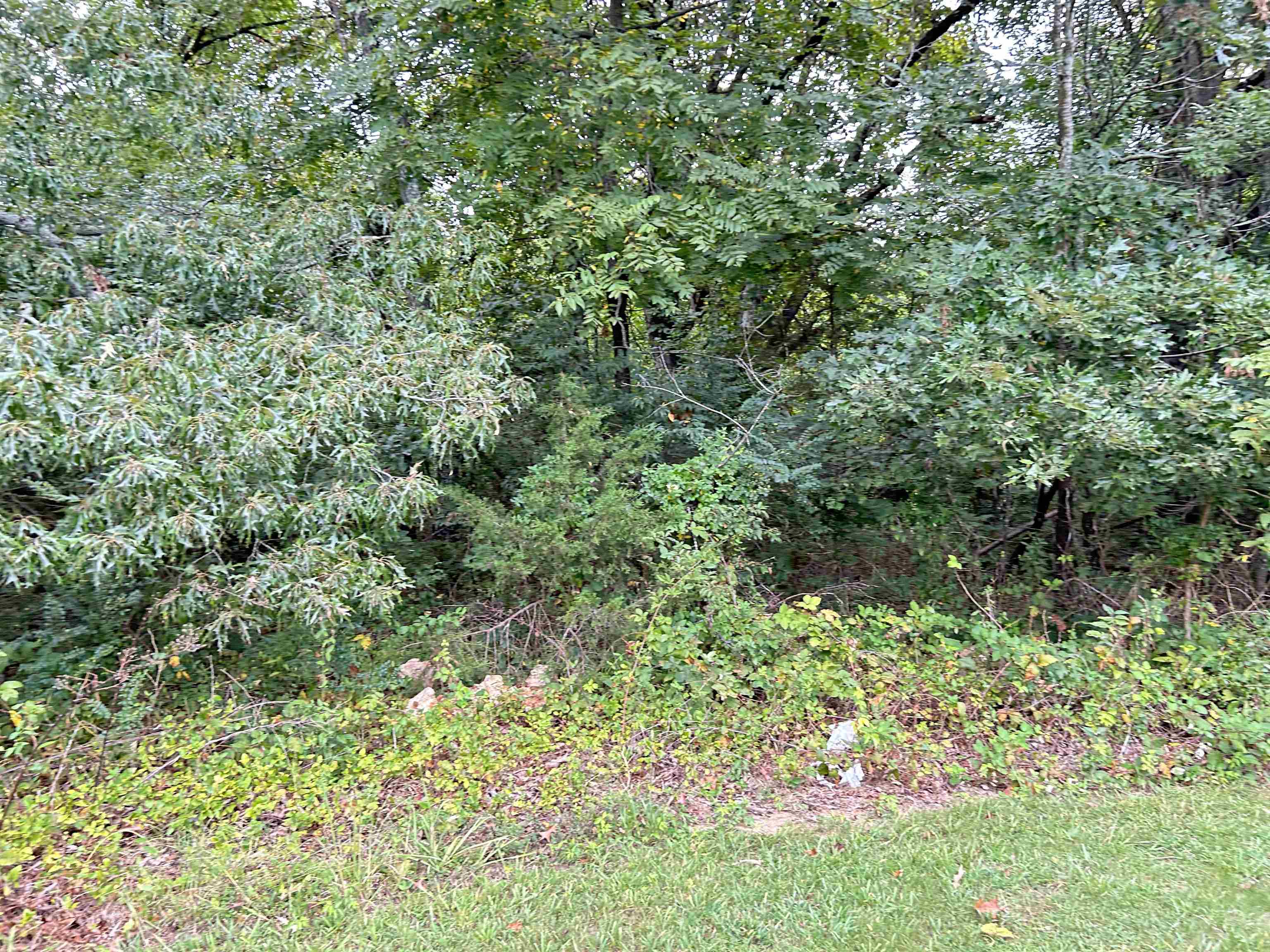 Lots 3,4,5  Martin  Ash Flat, AR