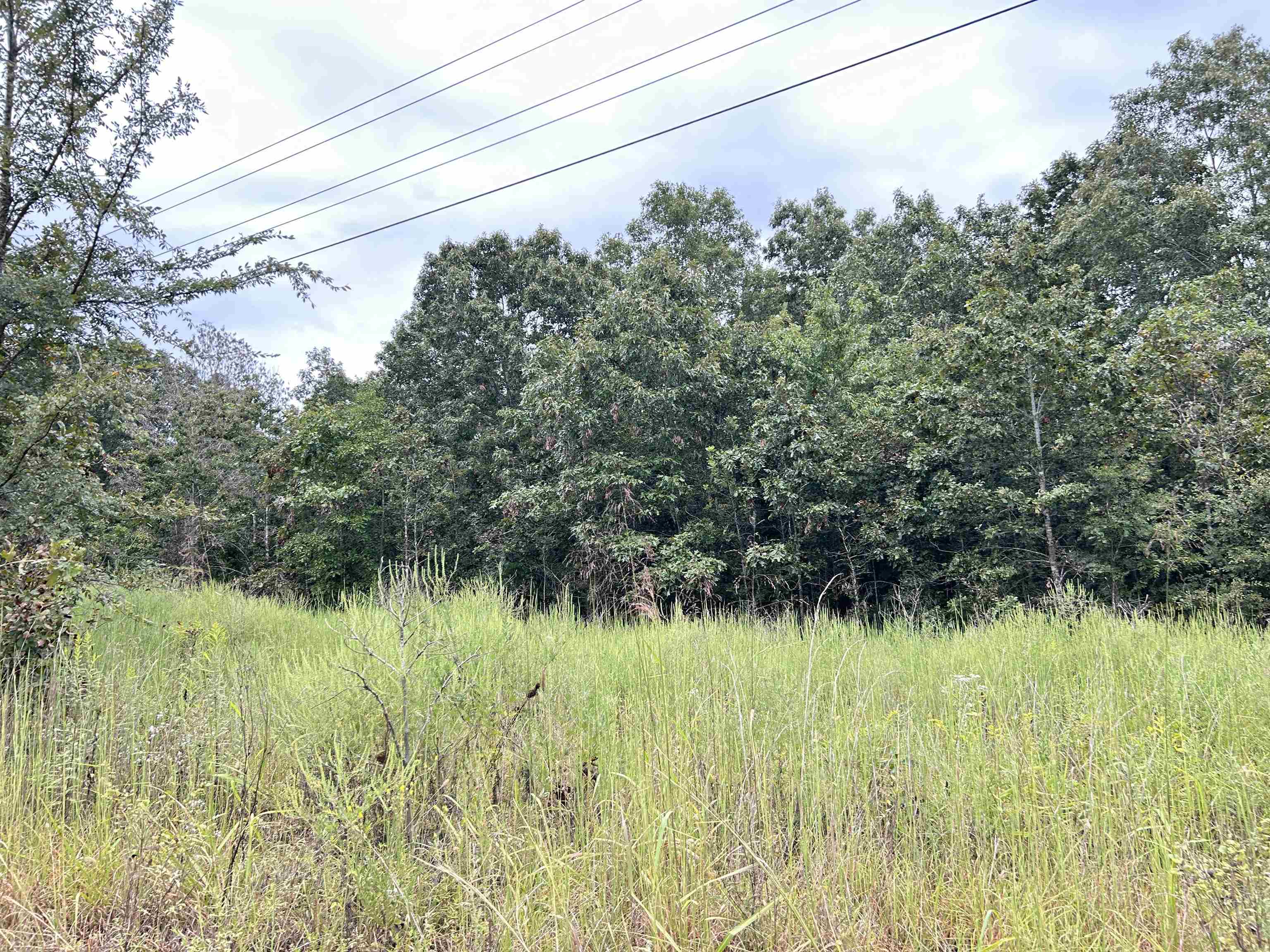 Lots 3,4,5  Martin  Ash Flat, AR
