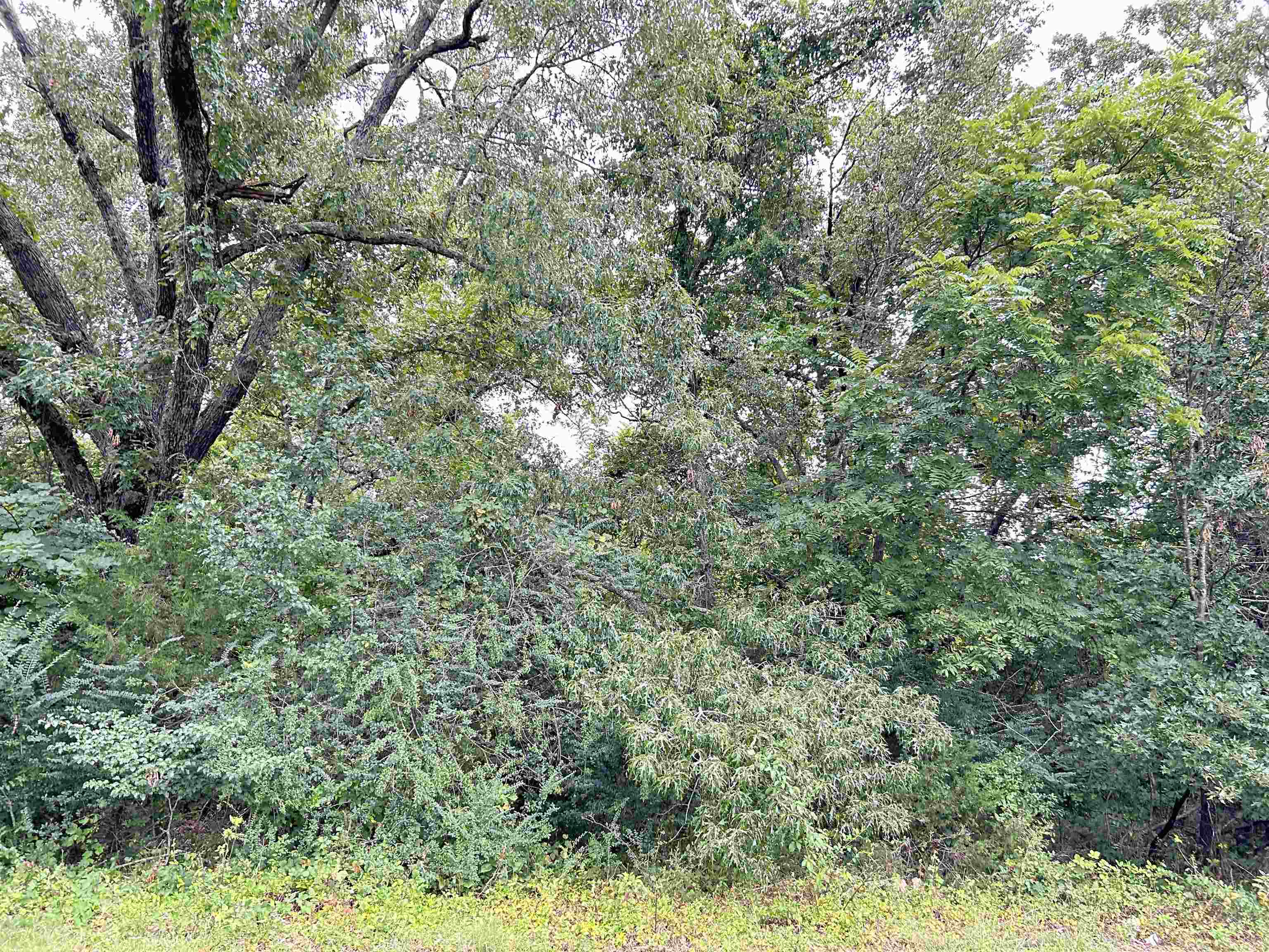 Lots 7-12  Martin  Ash Flat, AR