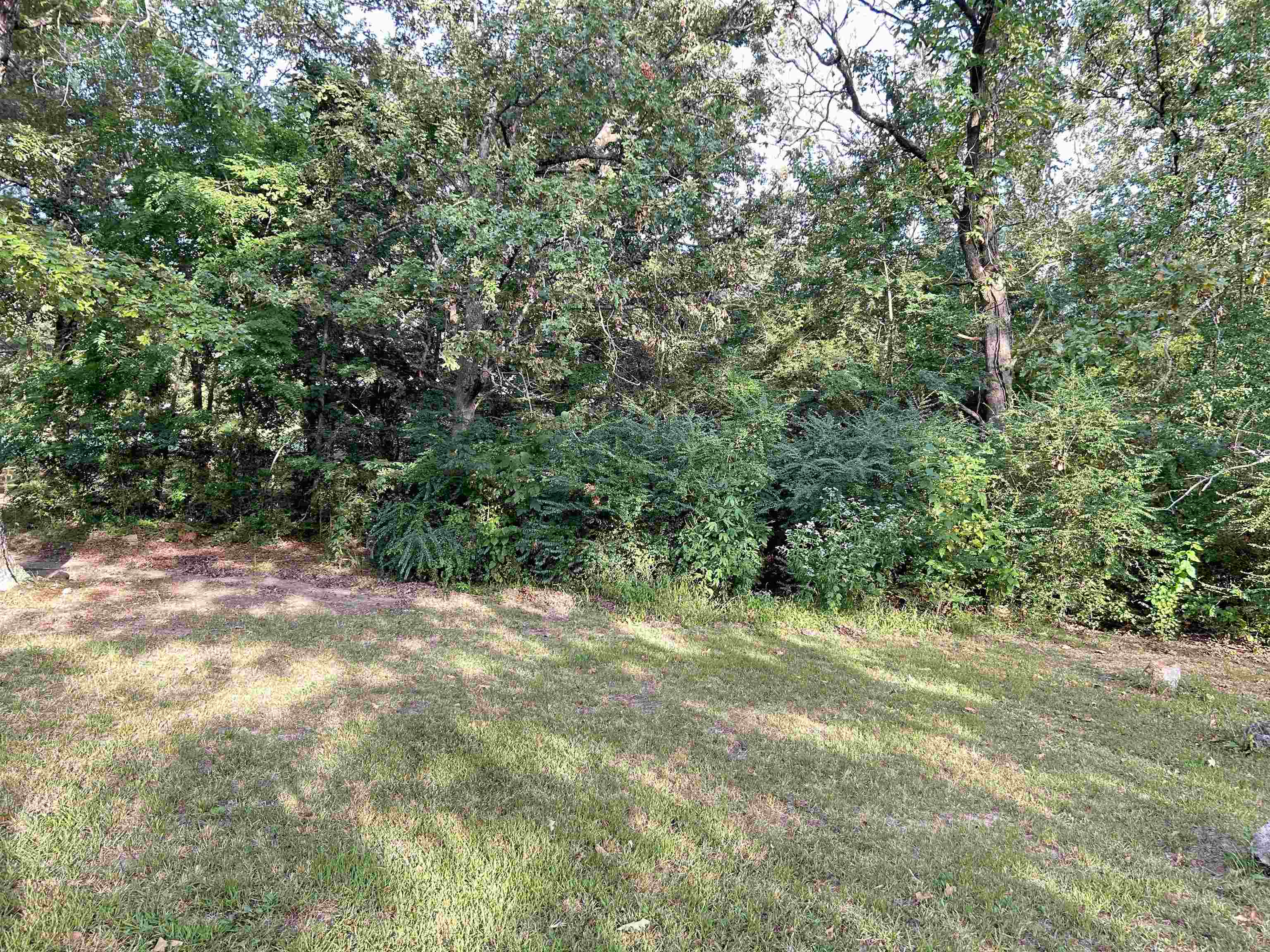 Lot 35 N Circle  Ash Flat, AR