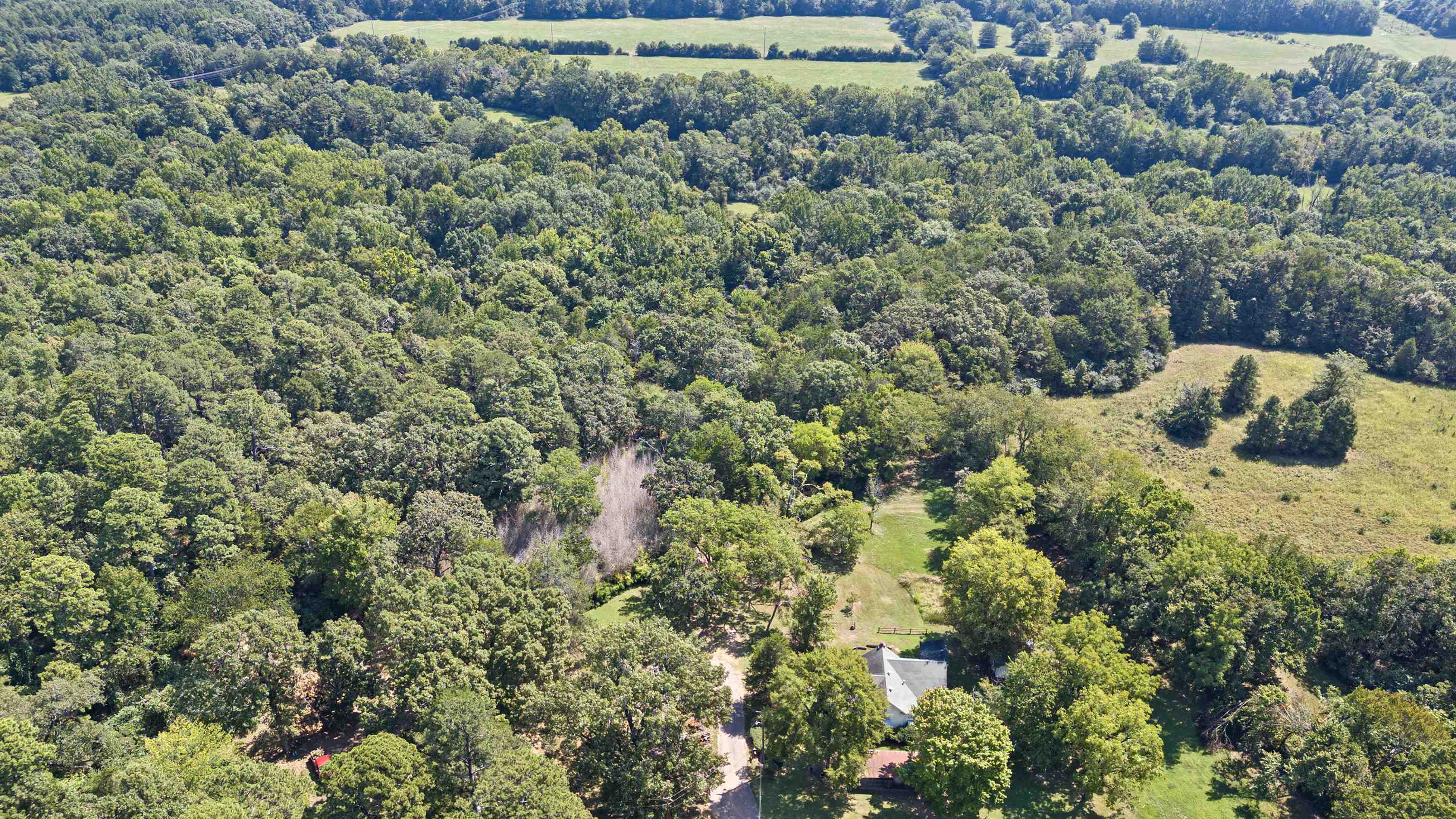 226  Lee Street  Clarksville, AR