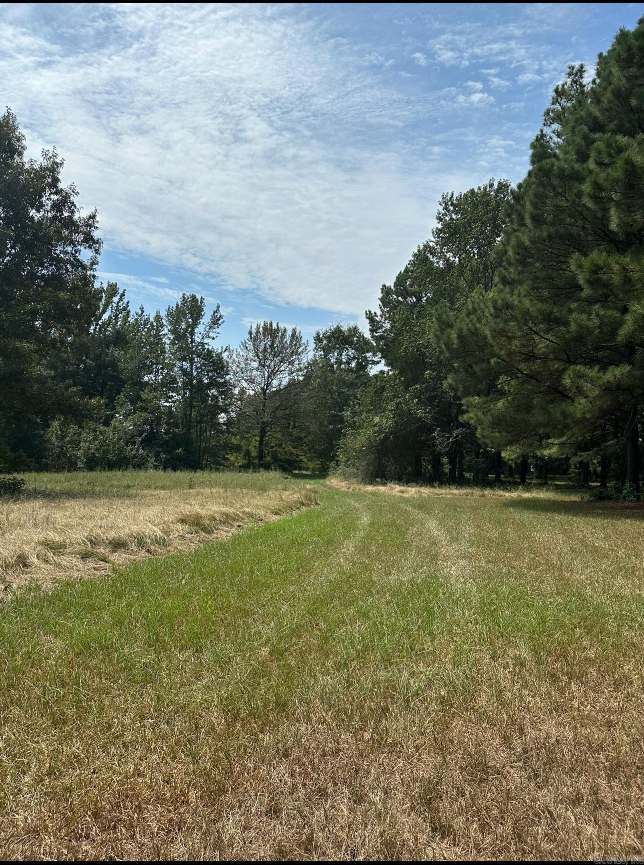130 McHenry Lane Ward, AR 72176