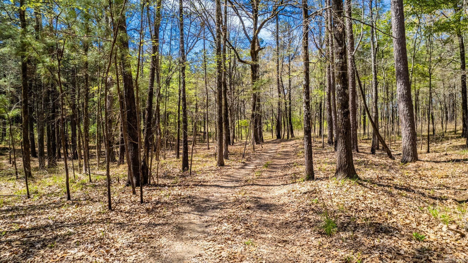  Highway 278  Monticello, AR