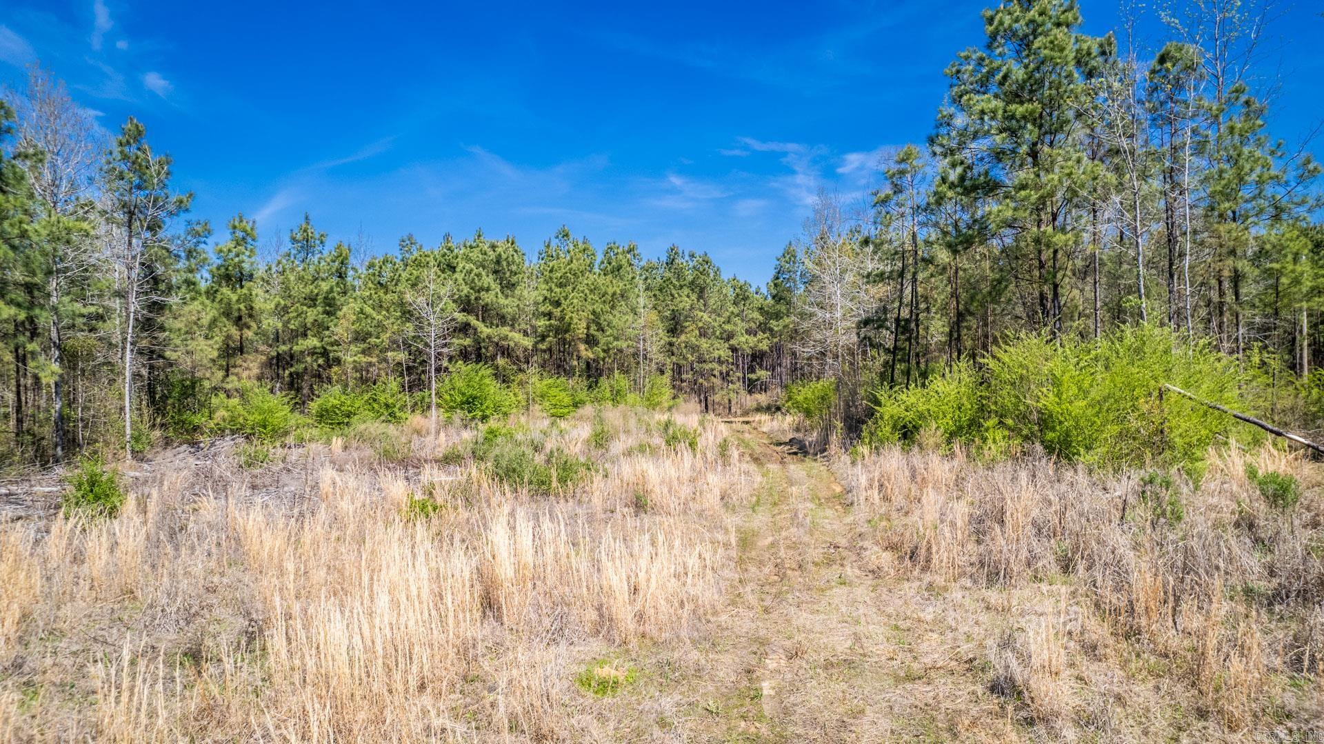   Highway 278  Monticello, AR