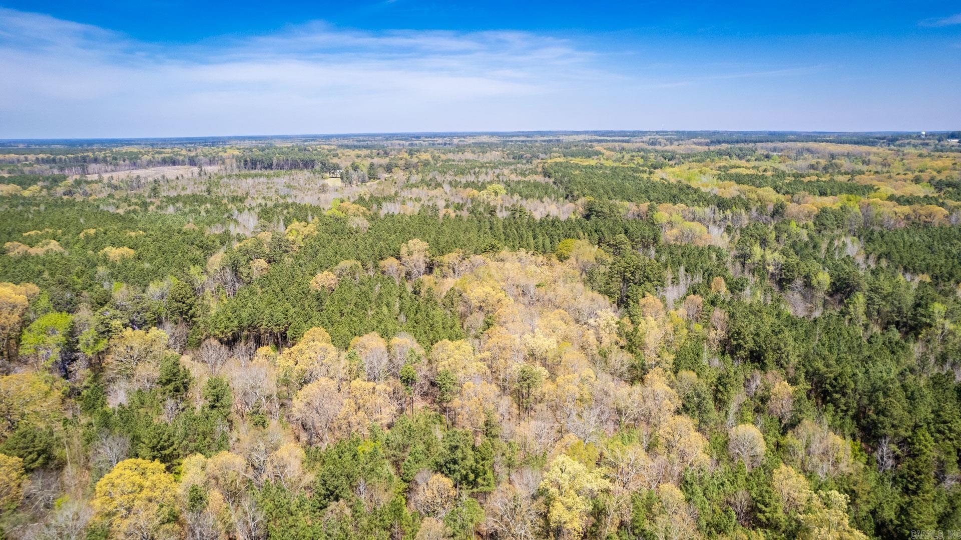   Highway 278  Monticello, AR