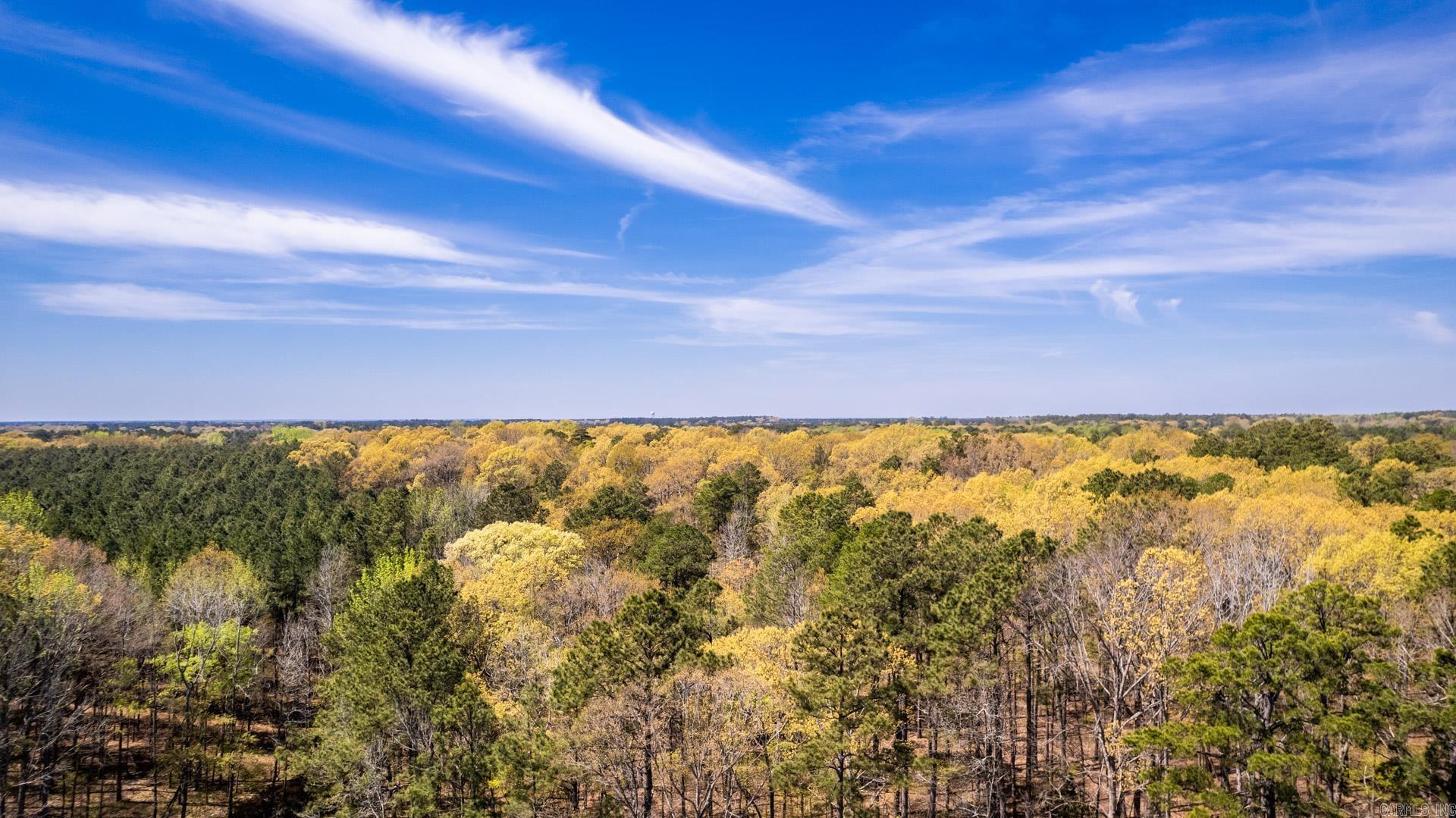   Highway 278  Monticello, AR