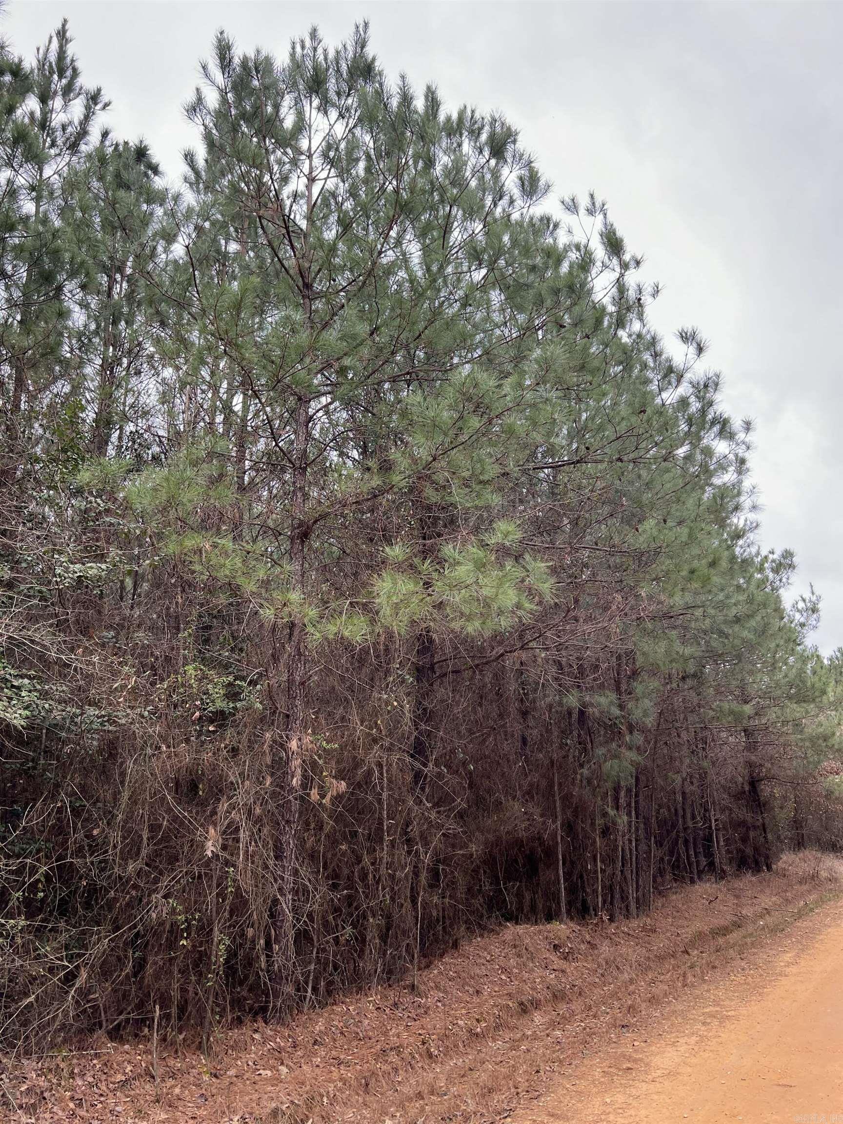   Sparkman East 25  Sparkman, AR