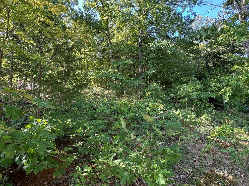 200  Isabella  Horseshoe Bend, AR
