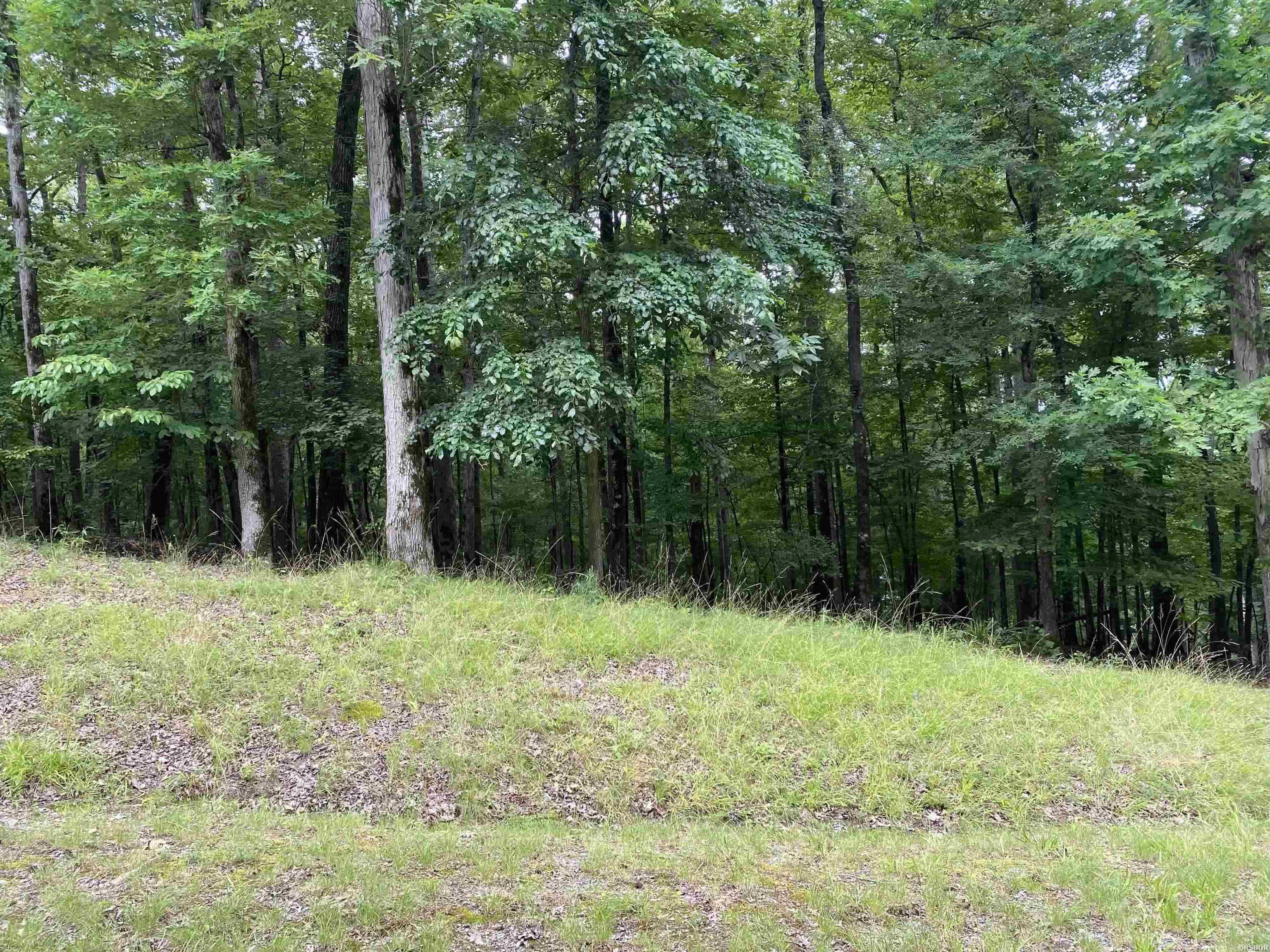 1016  Arlington  Hot Springs, AR