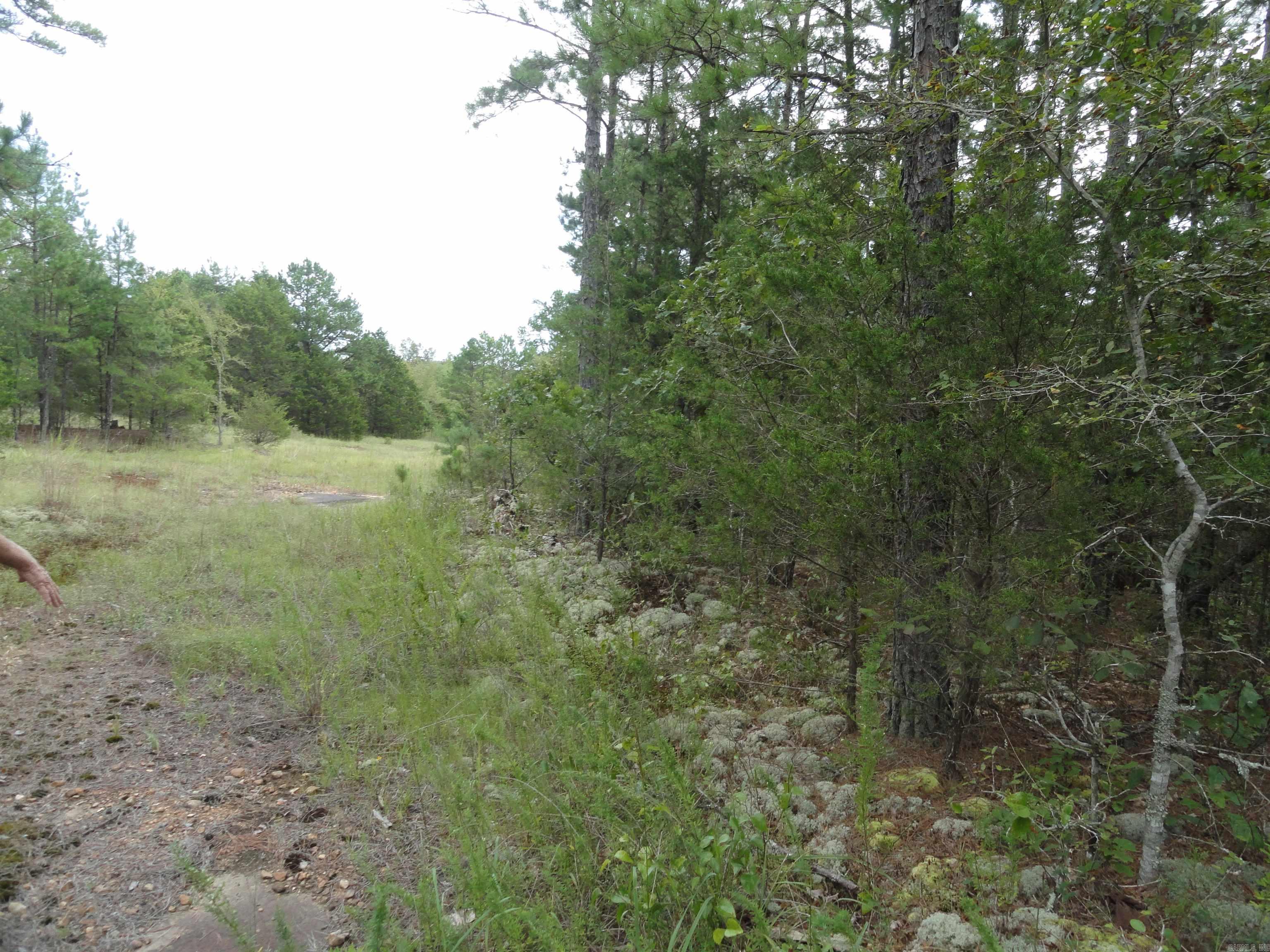 000 Baxter CR 128 Calico Rock, AR 72519