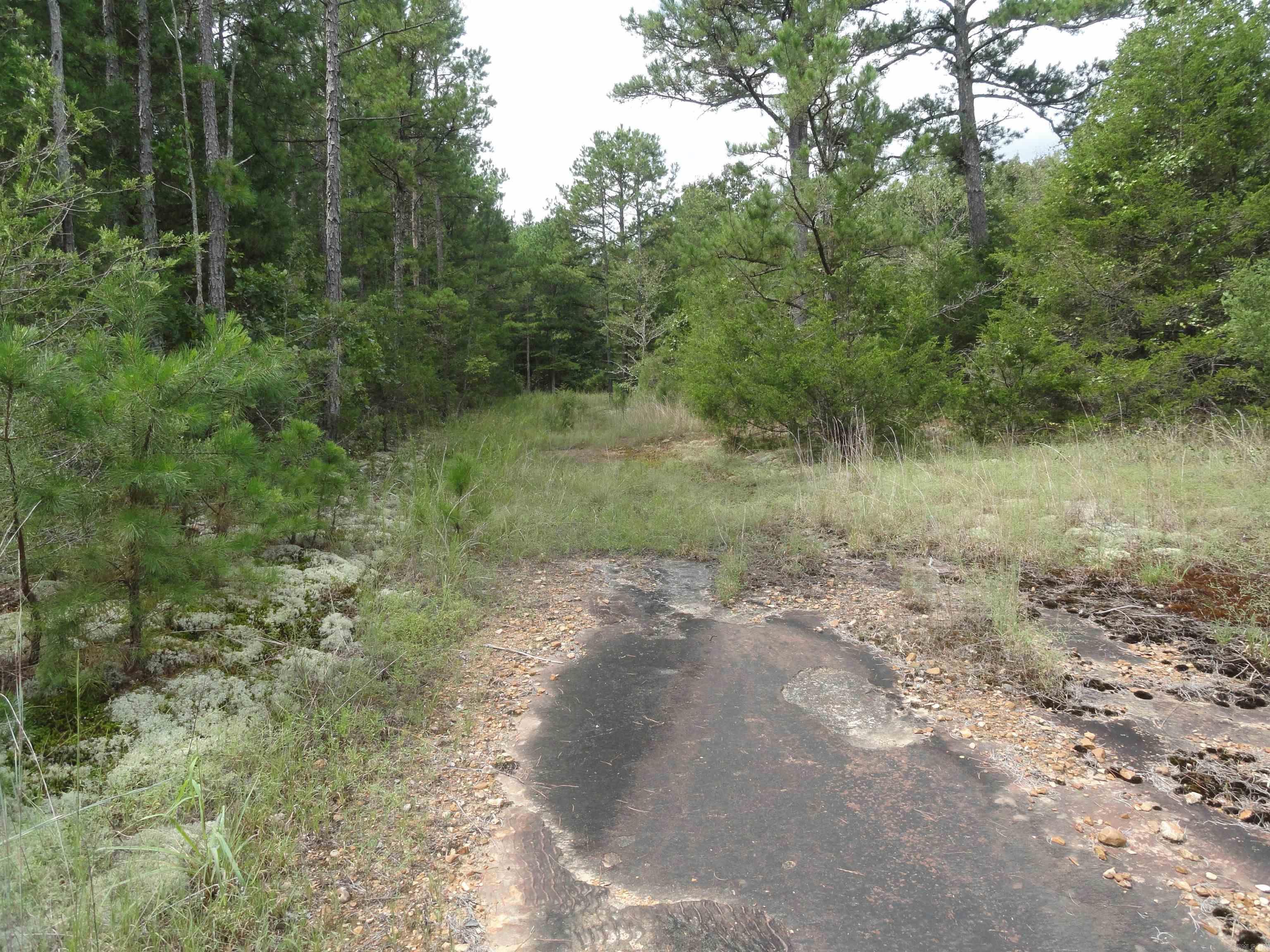 000 Baxter CR 128 Calico Rock, AR 72519
