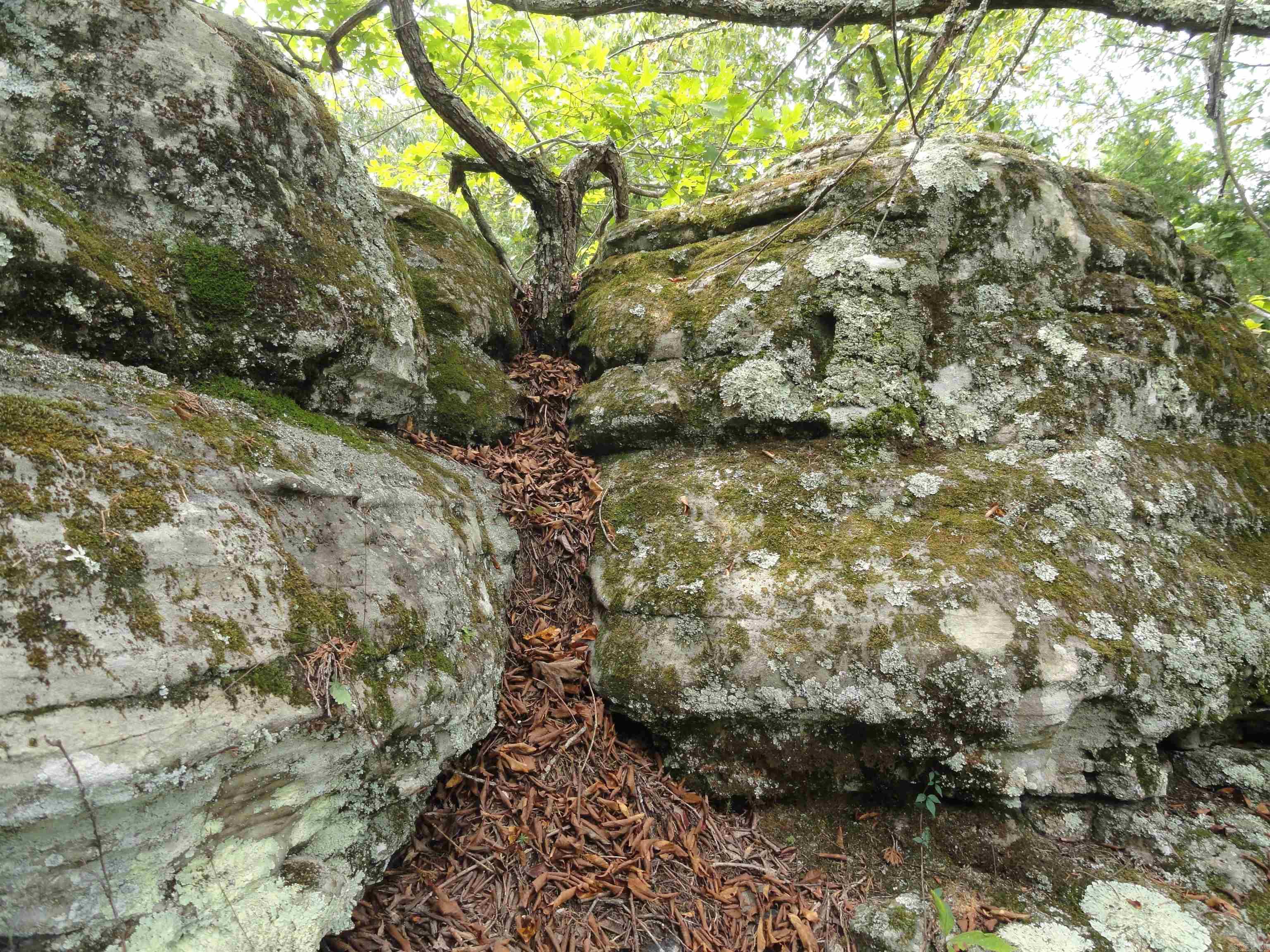 000 Baxter CR 128 Calico Rock, AR 72519