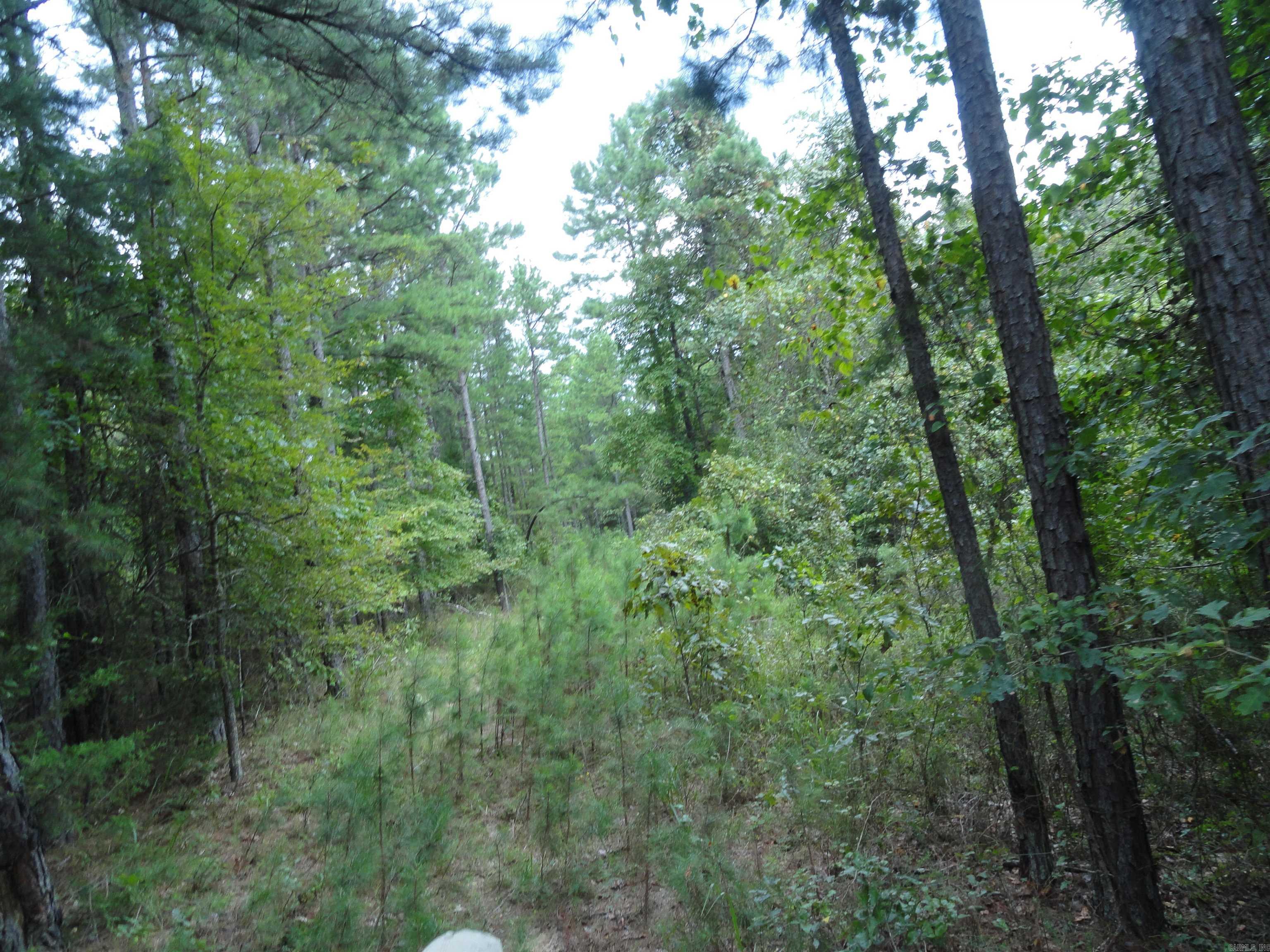 000 Baxter CR 128 Calico Rock, AR 72519