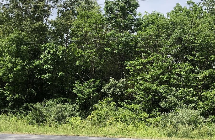   Wichita  Cherokee Village, AR