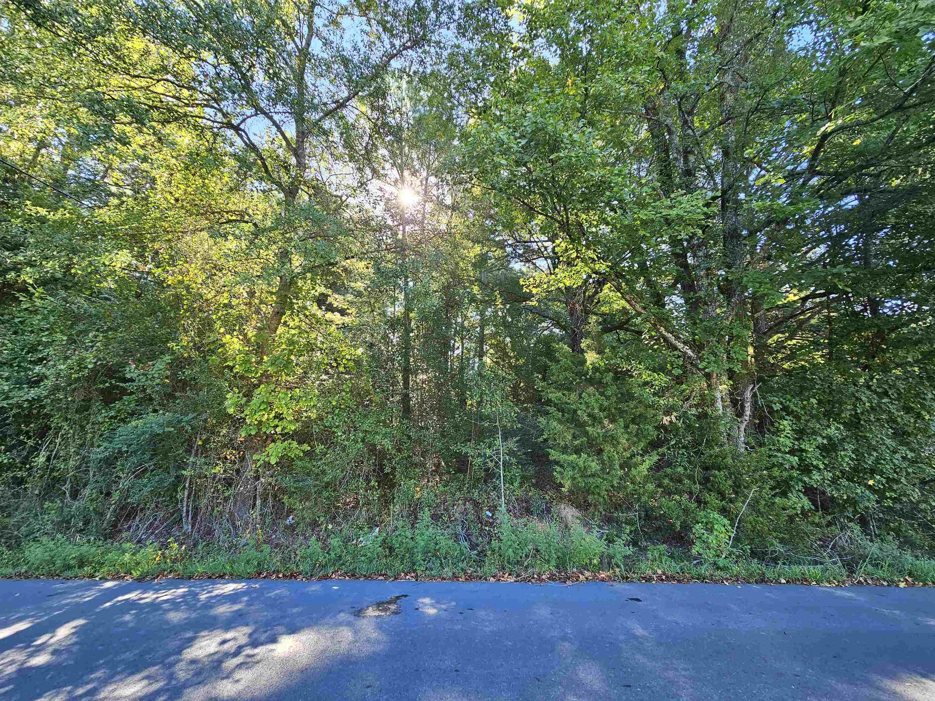 TBD  Doggett Circle  Horatio, AR