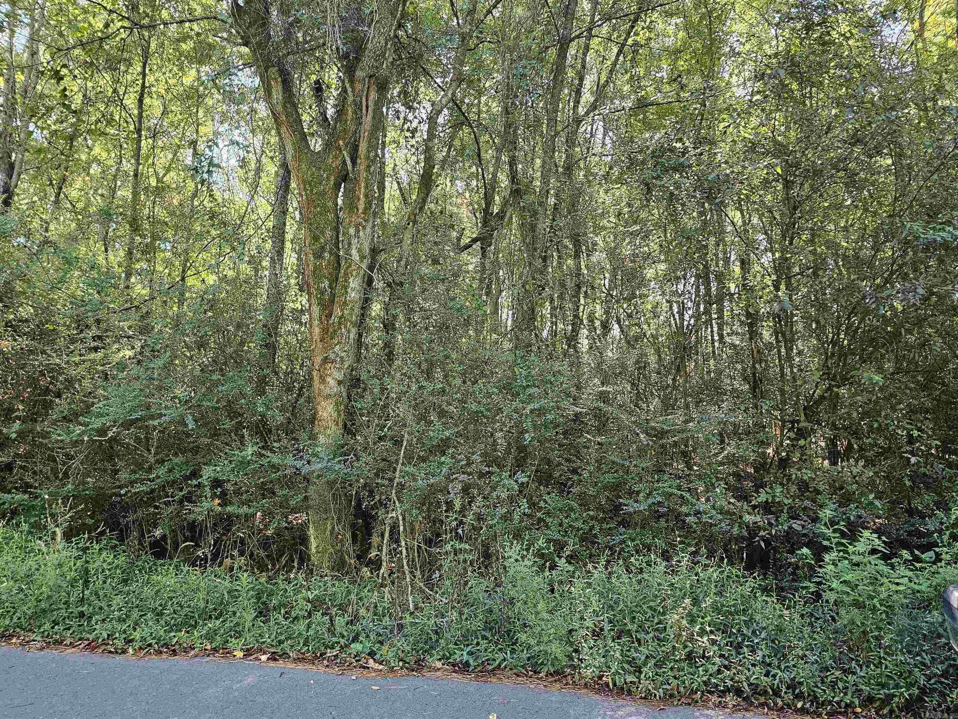 TBD  Doggett Circle  Horatio, AR