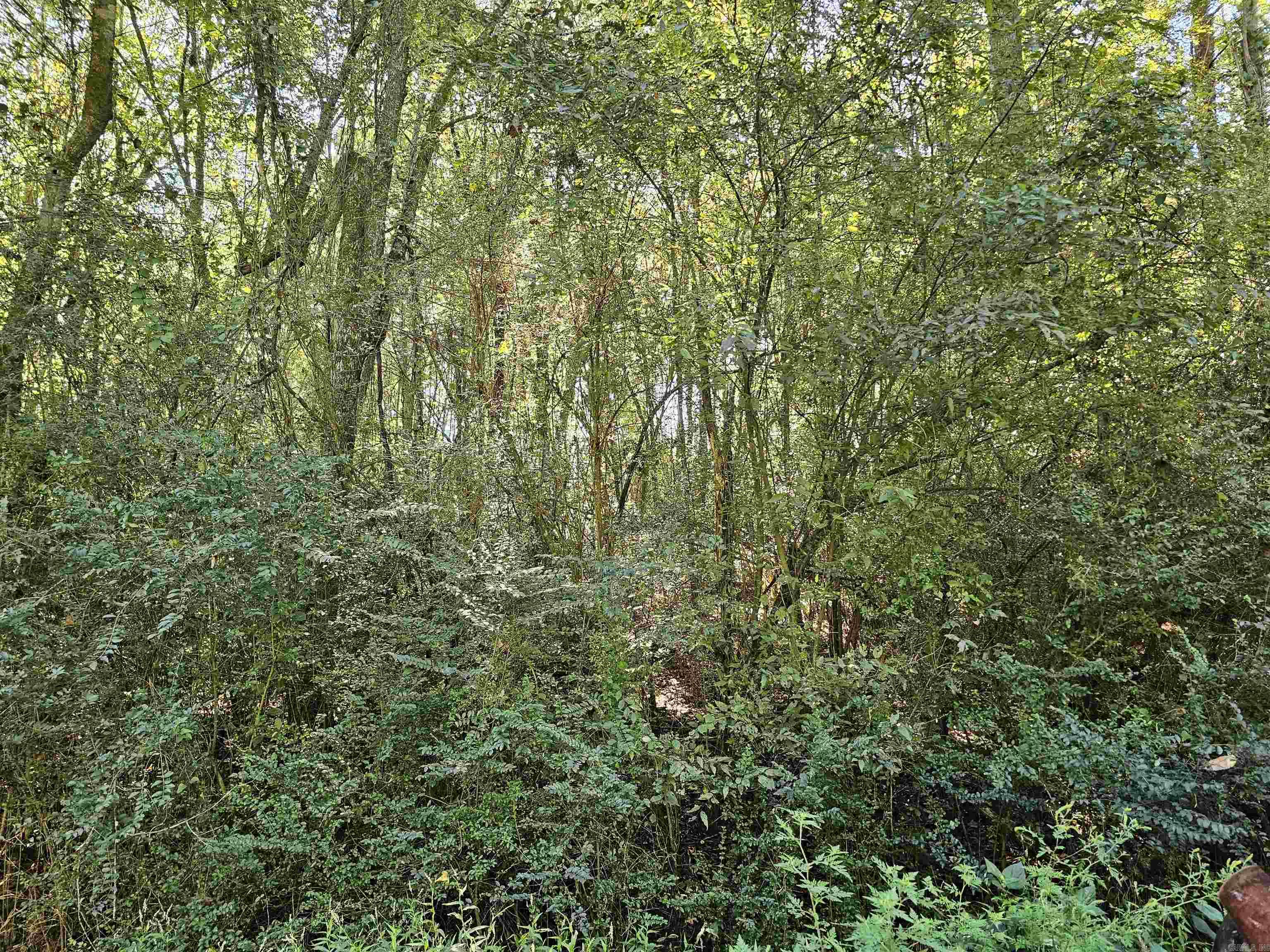TBD  Doggett Circle  Horatio, AR