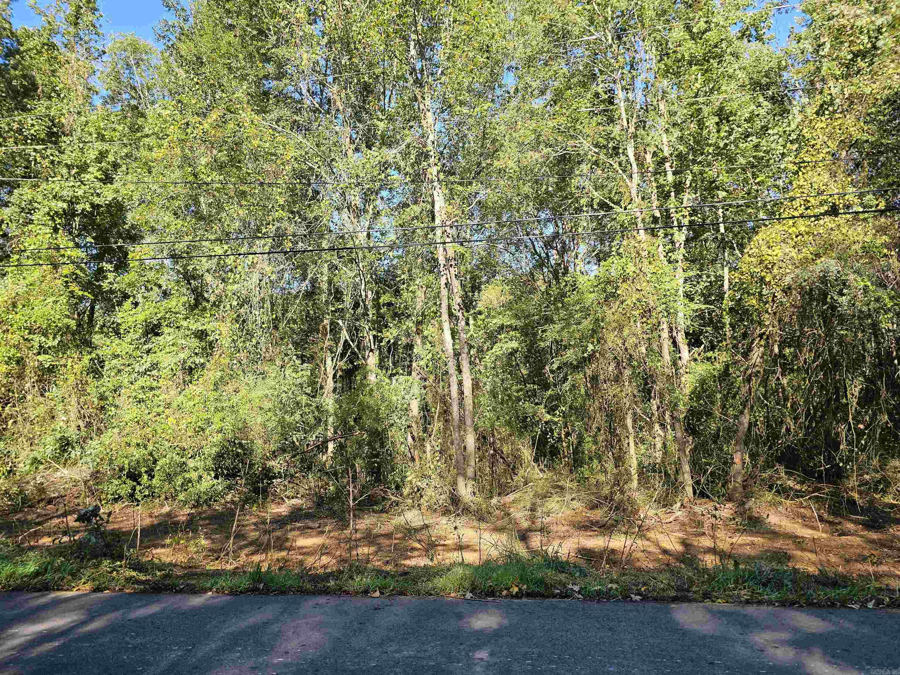 TBD  Doggett Circle  Horatio, AR