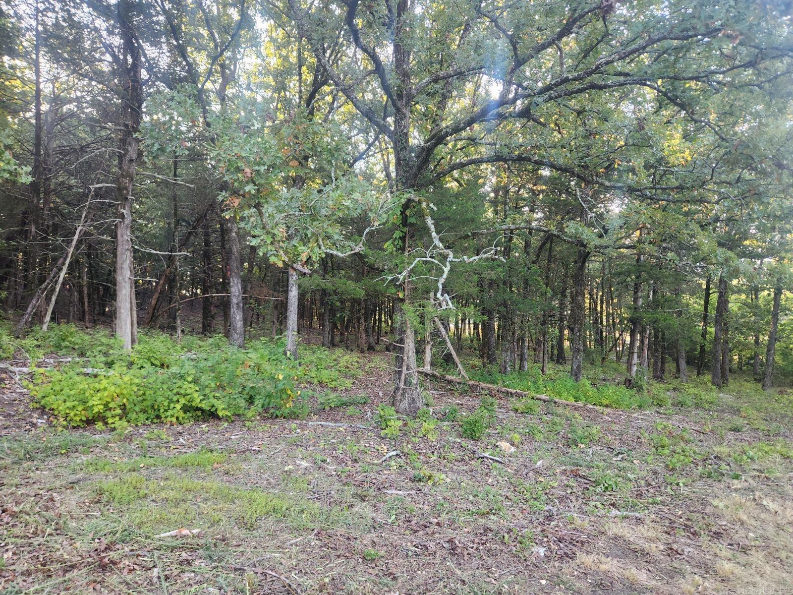 Lot 17  Indian Knob  Mountain View, AR