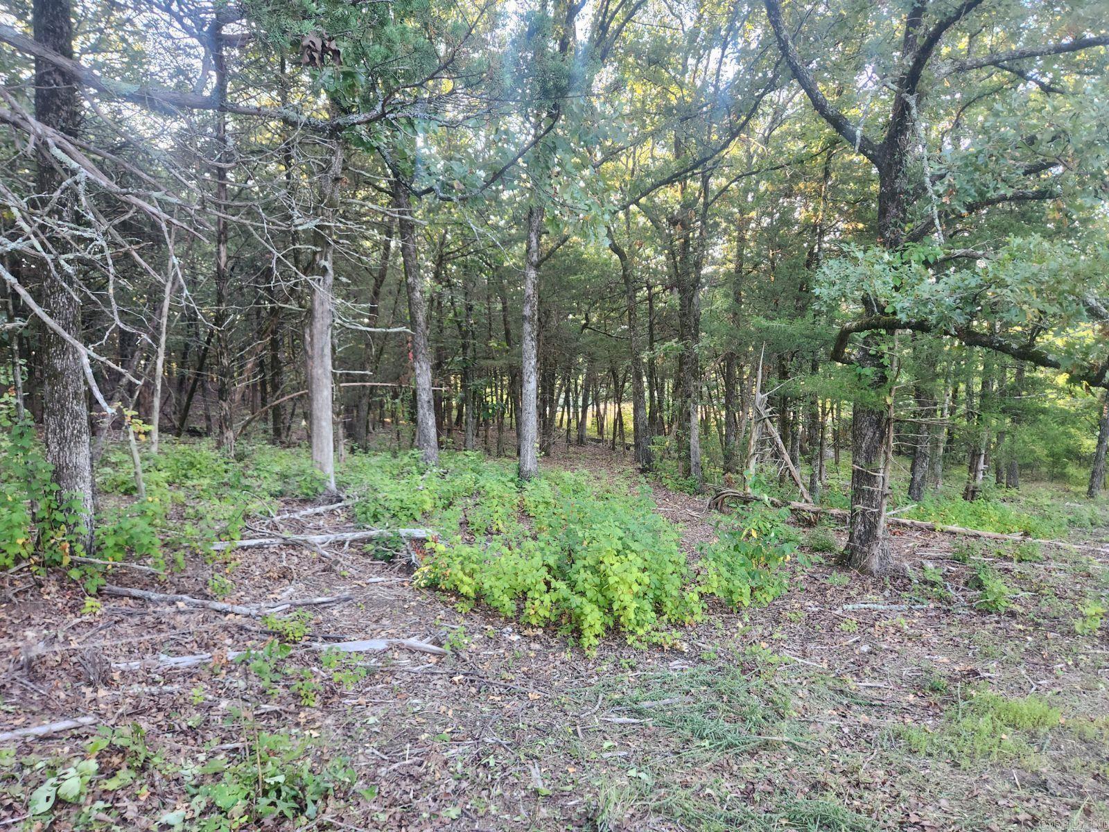Lot 17  Indian Knob  Mountain View, AR