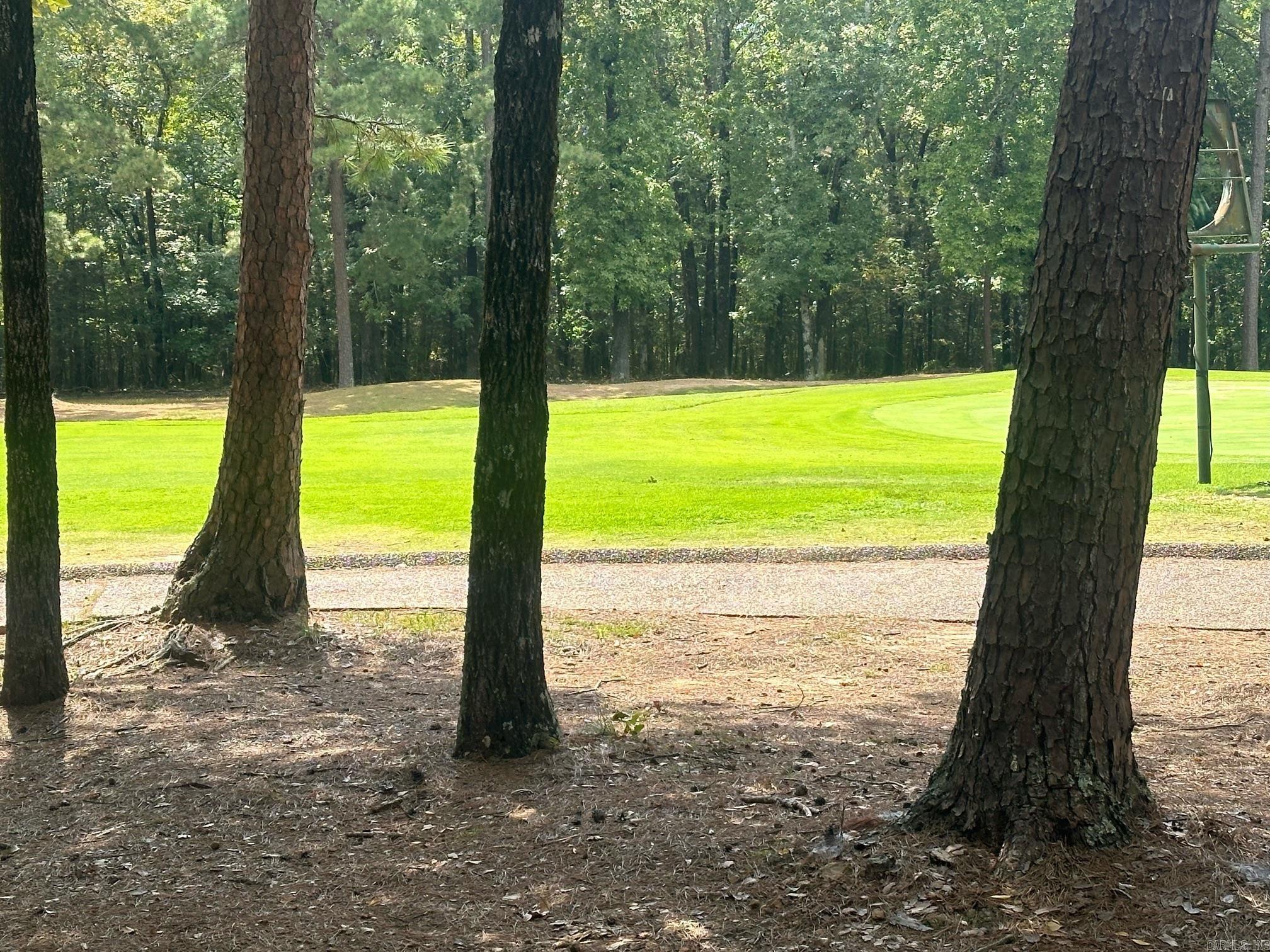 LOT 370  Brunn Cove  Drasco, AR
