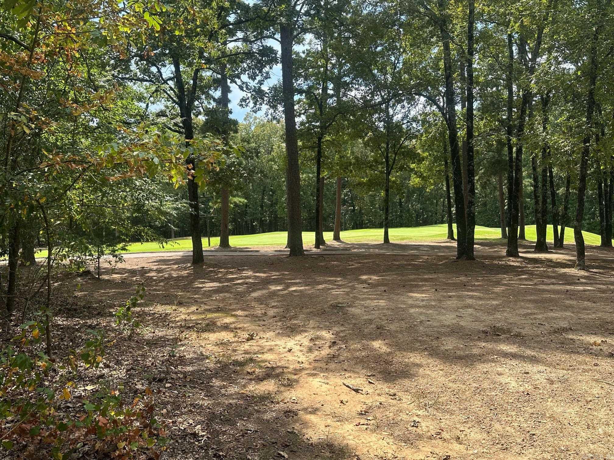 LOT 370  Brunn Cove  Drasco, AR