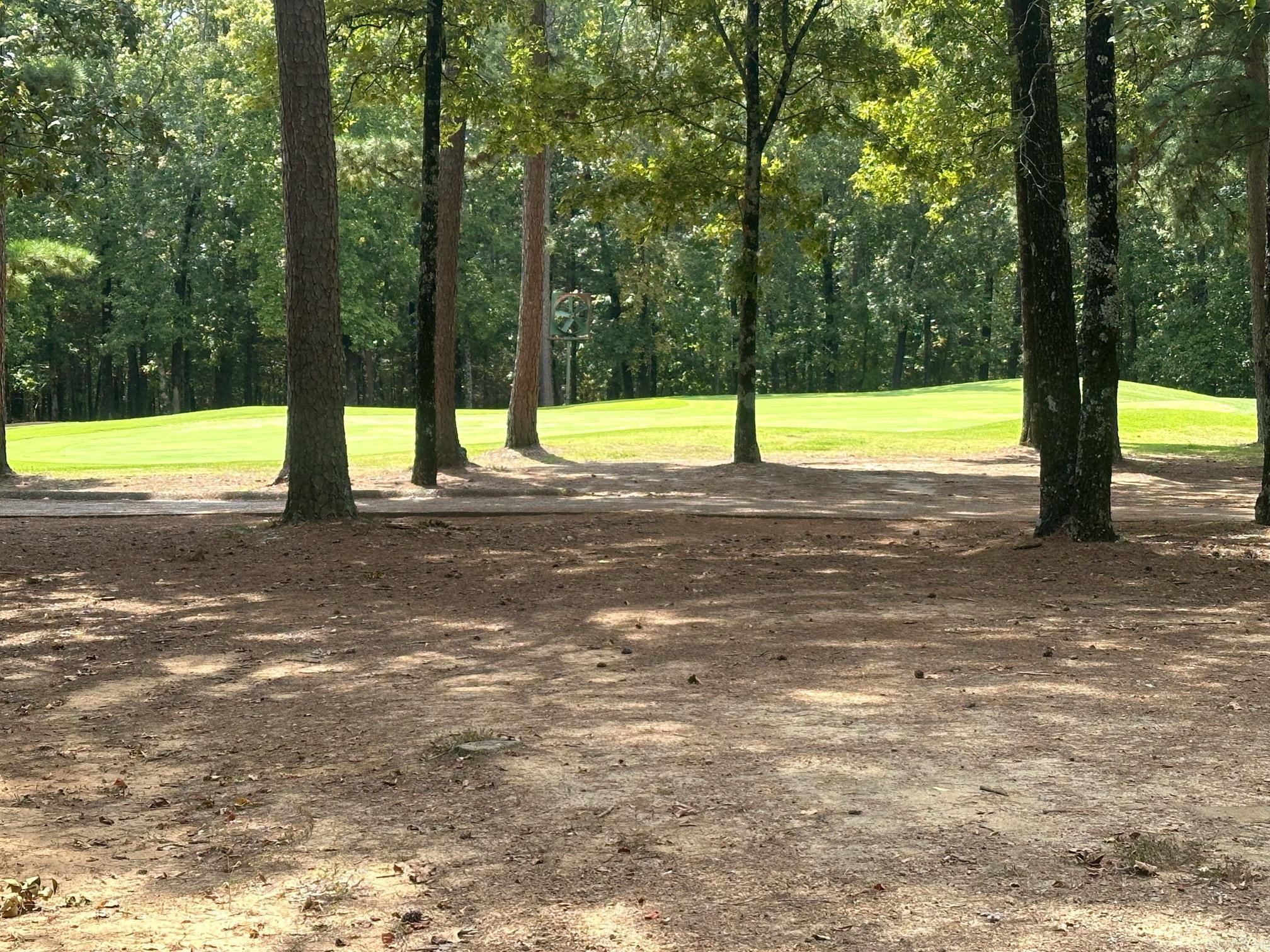 LOT 370  Brunn Cove  Drasco, AR