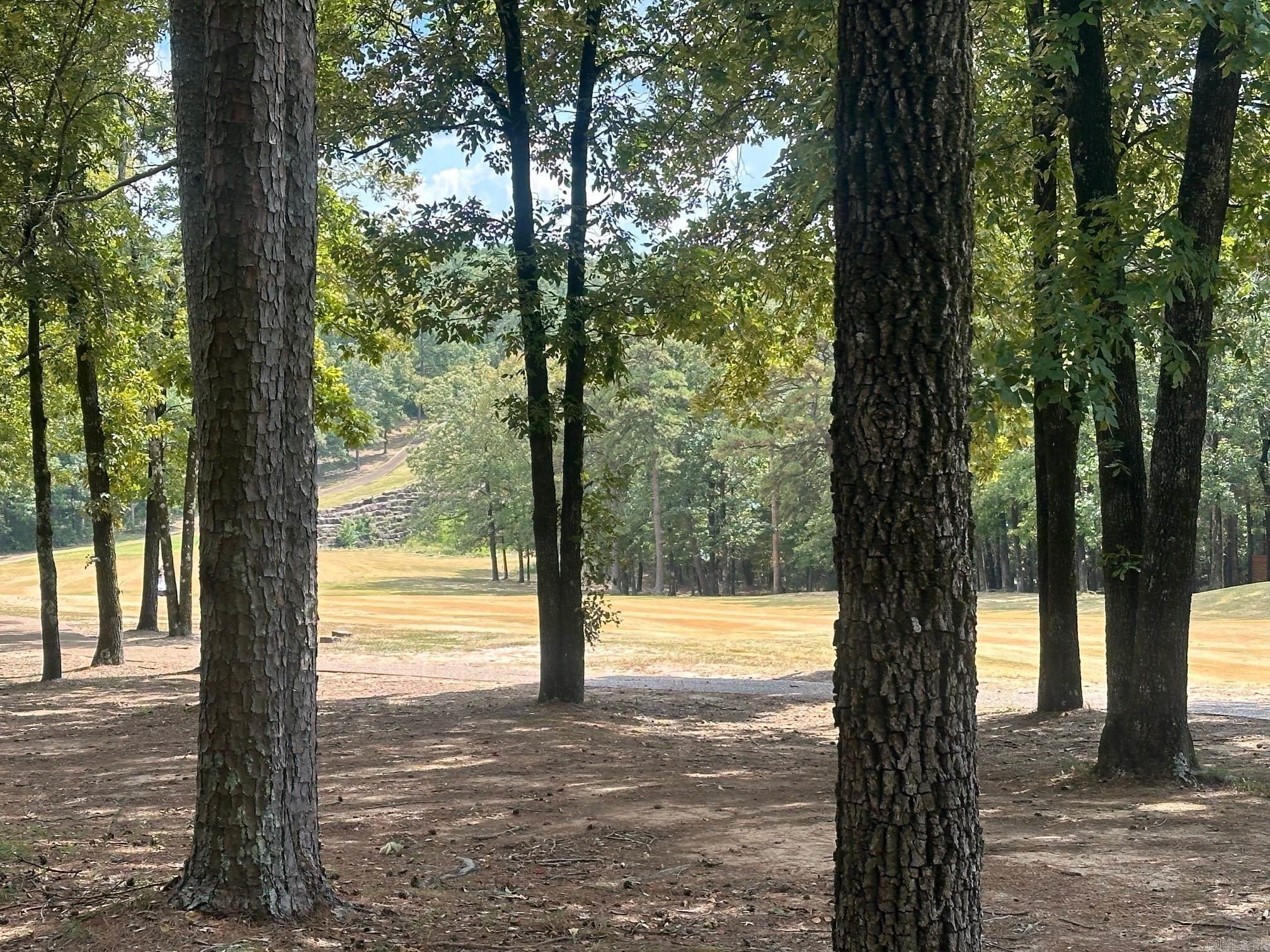 LOT 370  Brunn Cove  Drasco, AR