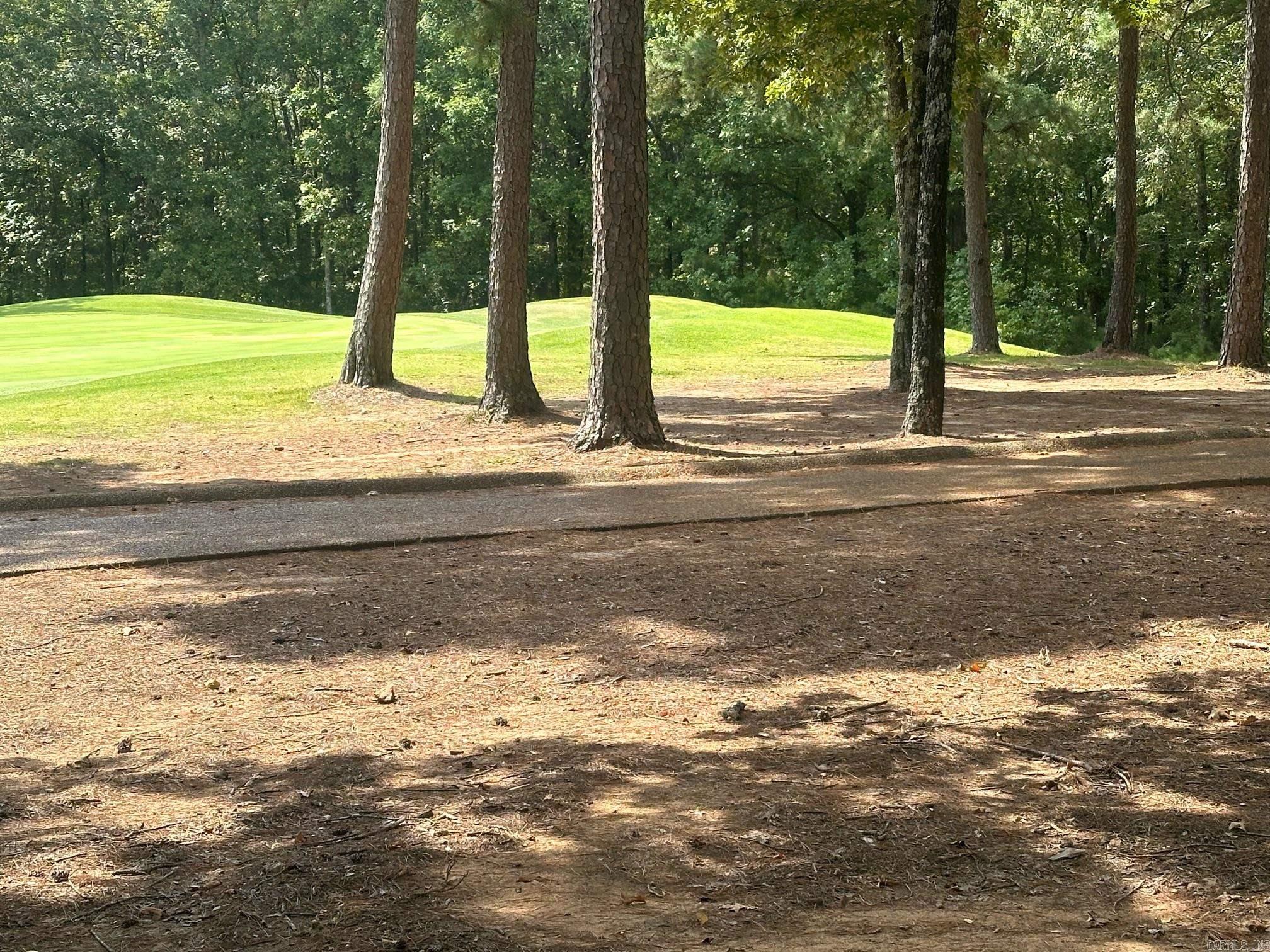 LOT 370  Brunn Cove  Drasco, AR
