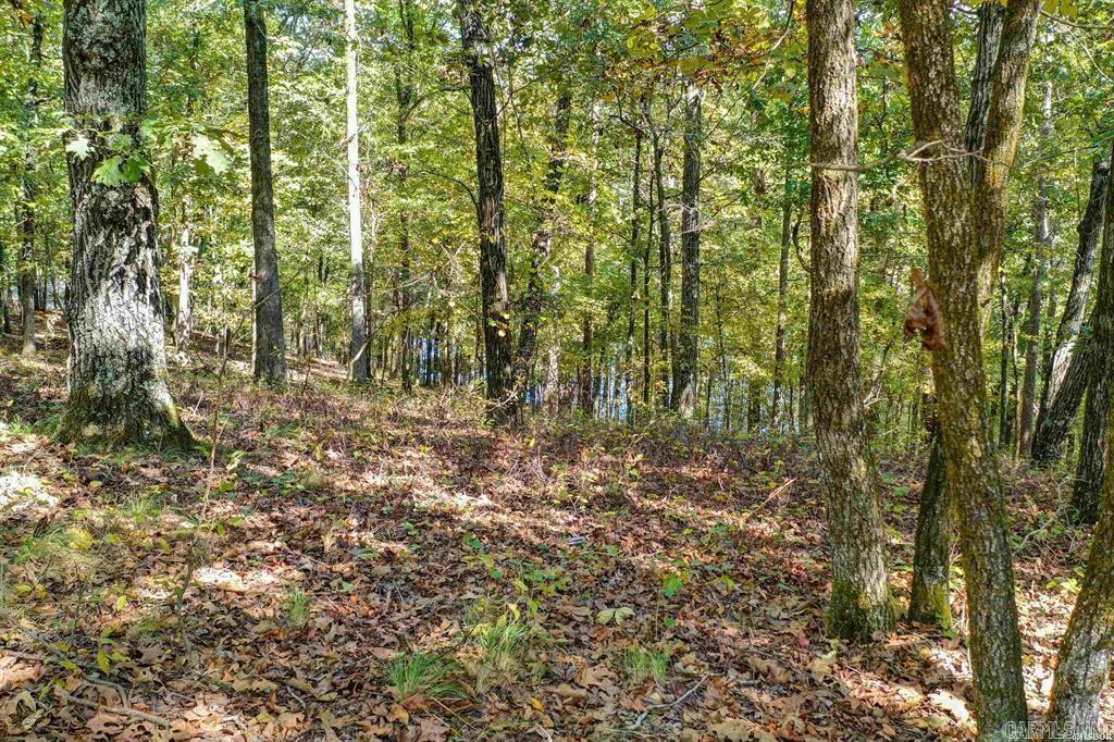 Lot 45  Alava  Hot Springs Village, AR