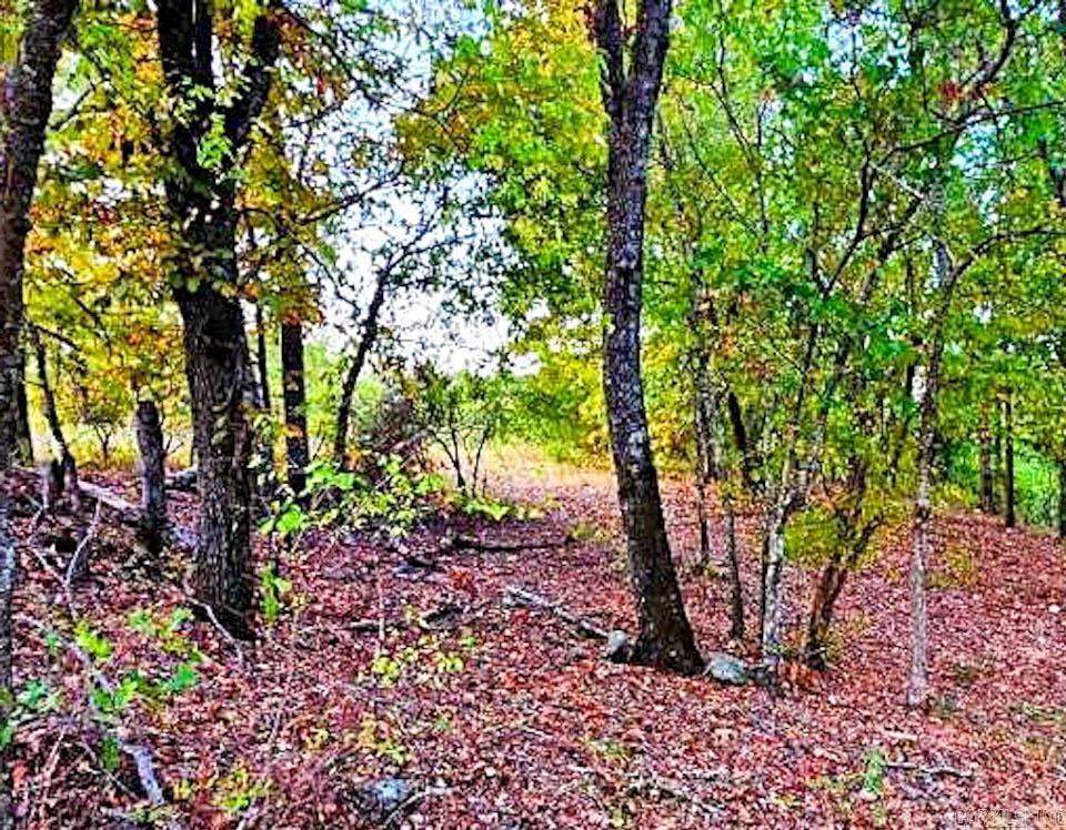 74  Lawdy  Story, AR