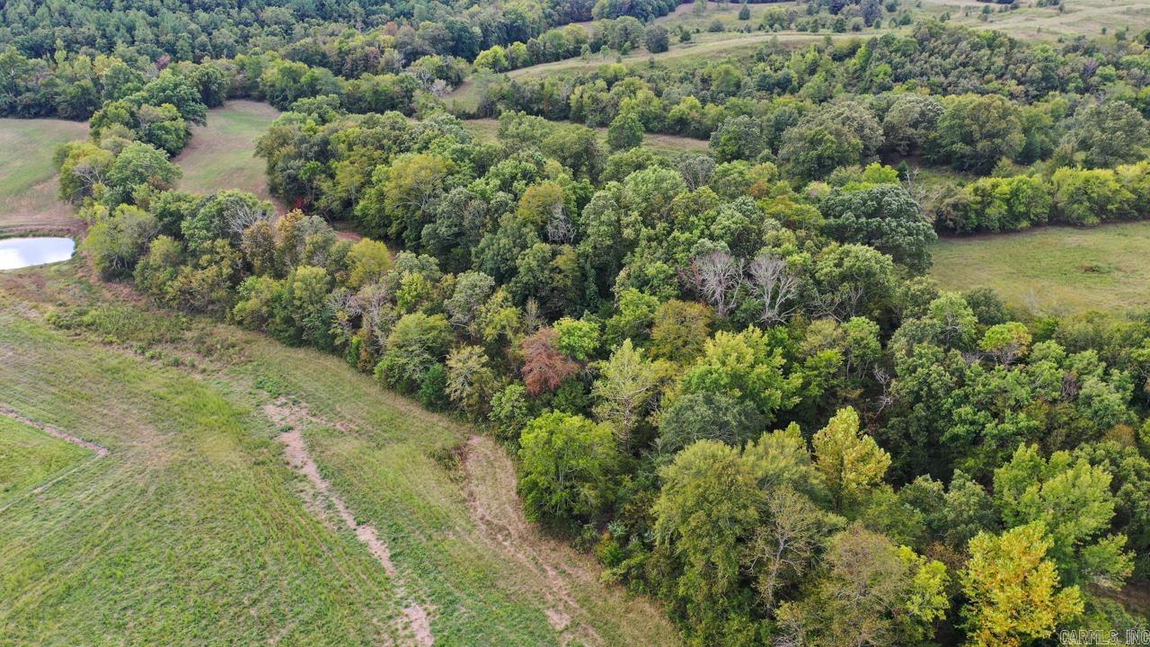 74  Lawdy  Story, AR