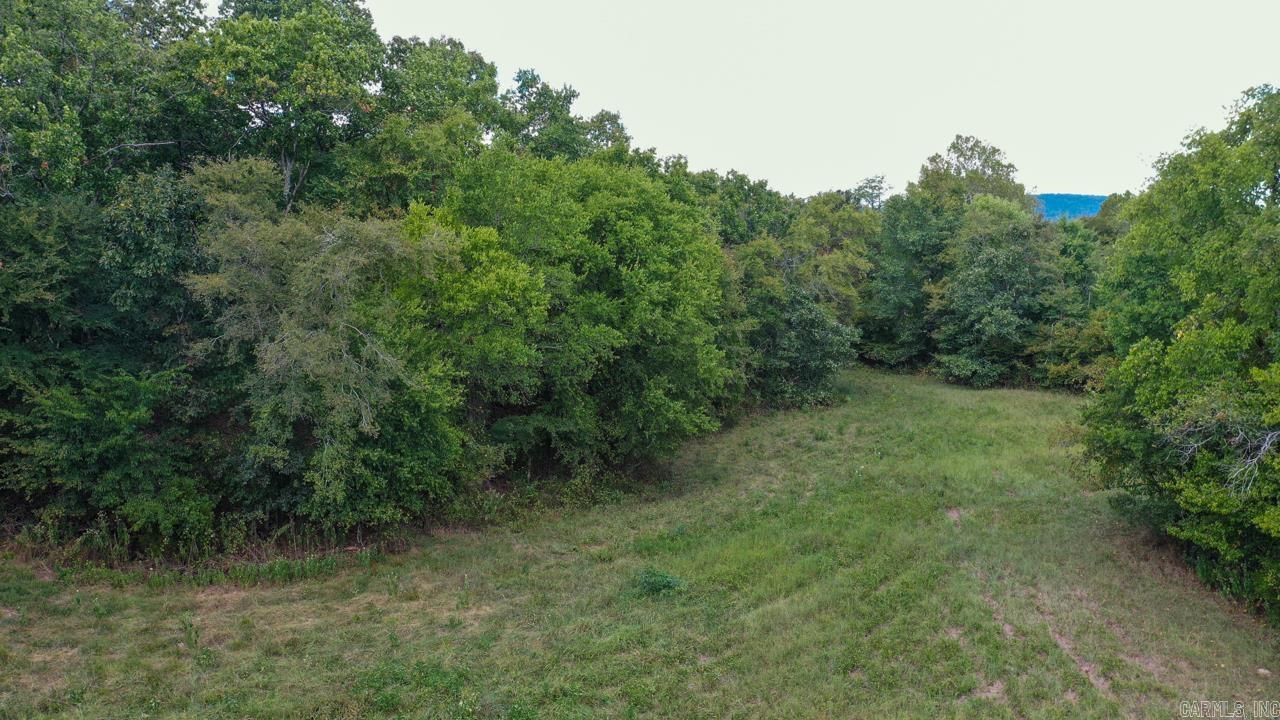 74  Lawdy  Story, AR