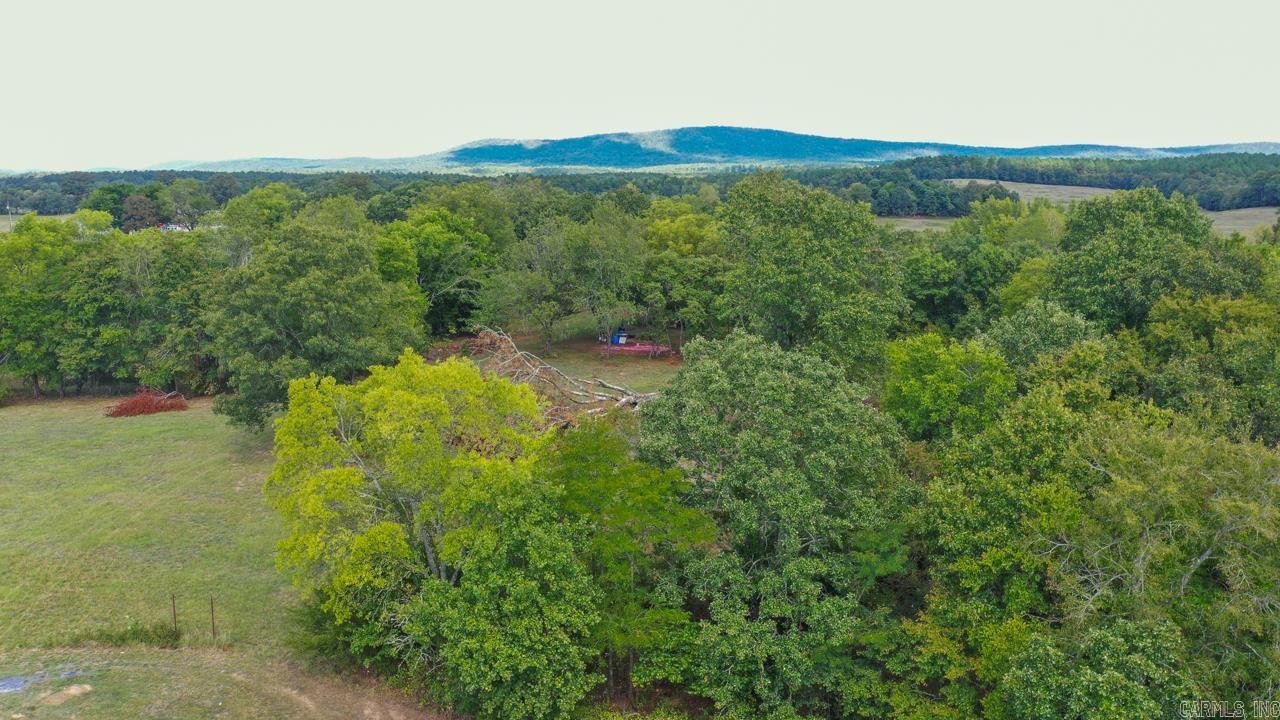 74  Lawdy  Story, AR