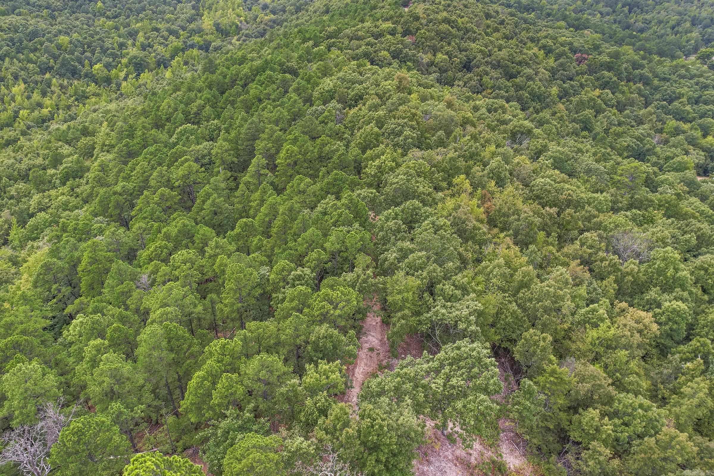 209  Massey Ln  Mena, AR